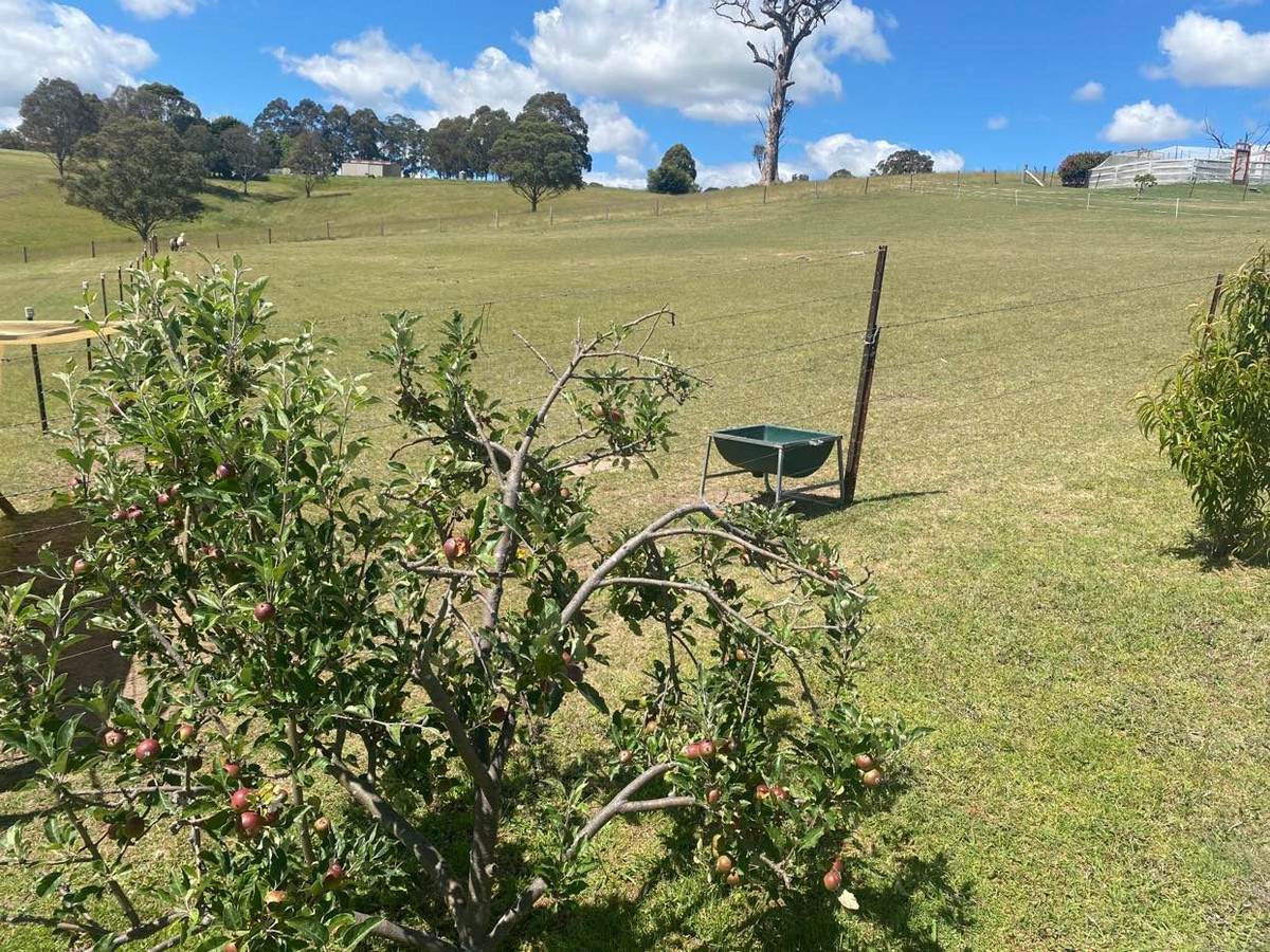 9 Box  Close, Bega Sold by Farmbuy.com - image 29