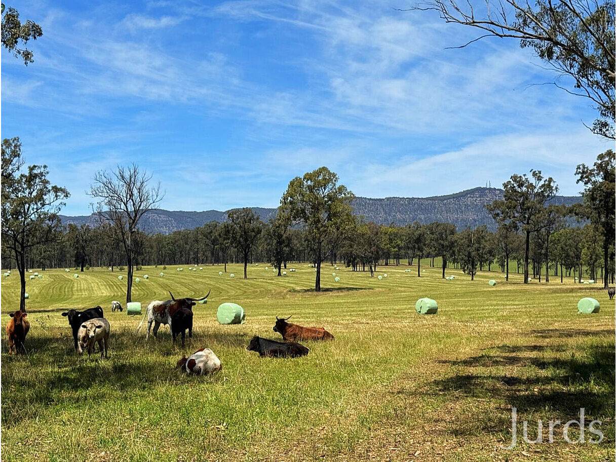 Lot 123, 694 Hermitage Road, Pokolbin For Sale by Farmbuy.com - image 3