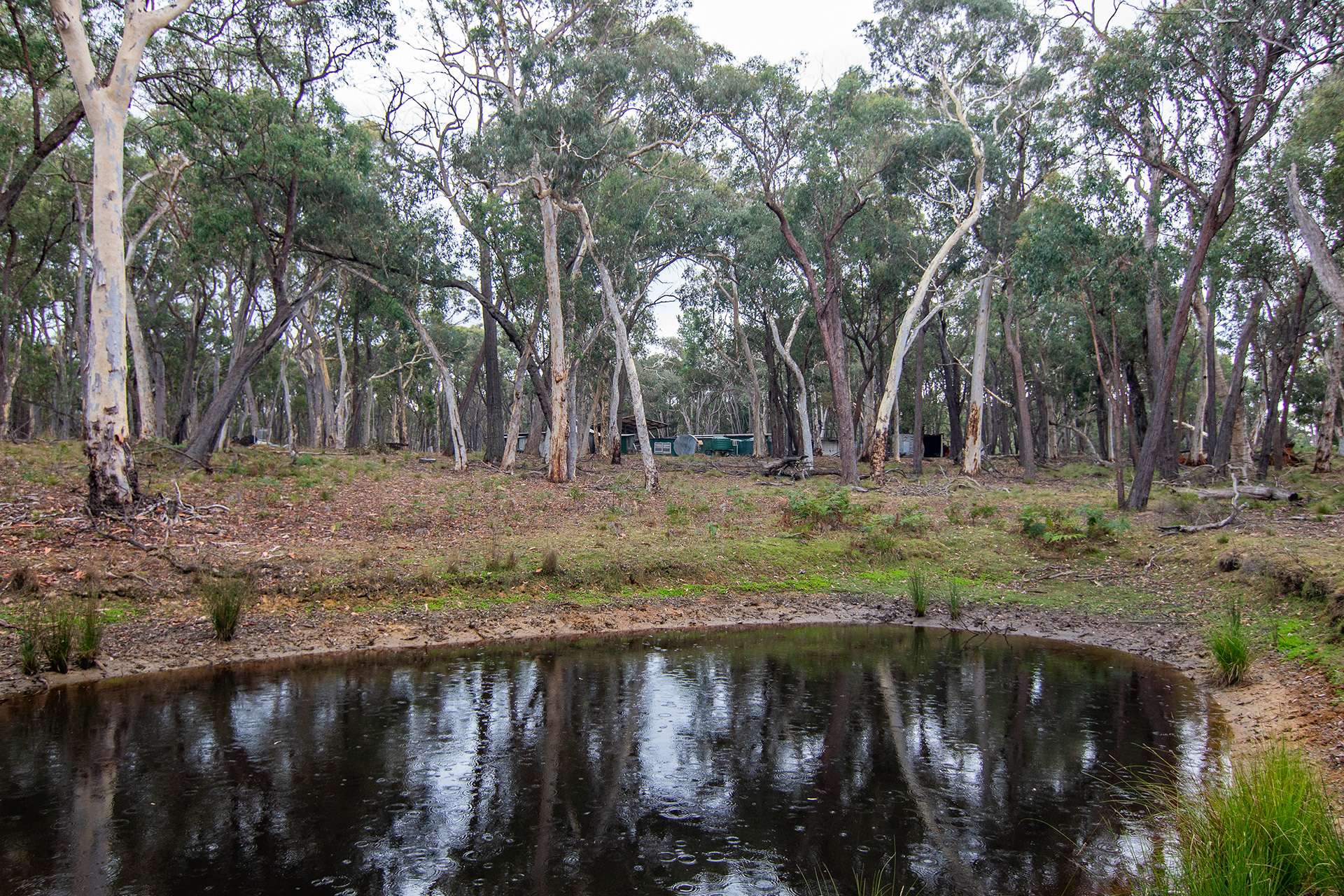 859 Bonds Road, Mudgee For Sale by Farmbuy.com - image 4