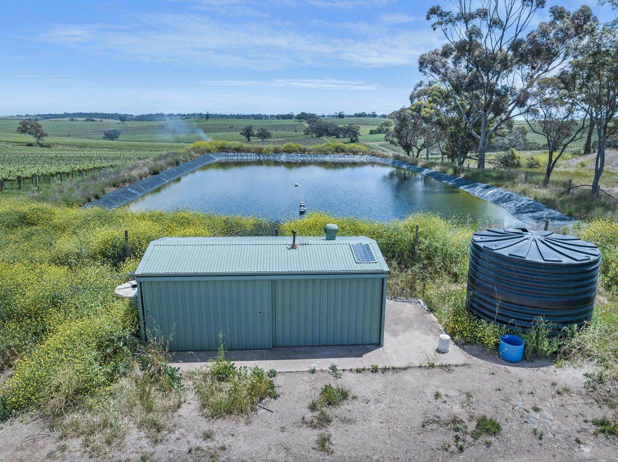 Lot 54 Tank Road, Auburn For Sale by Farmbuy.com - image 16