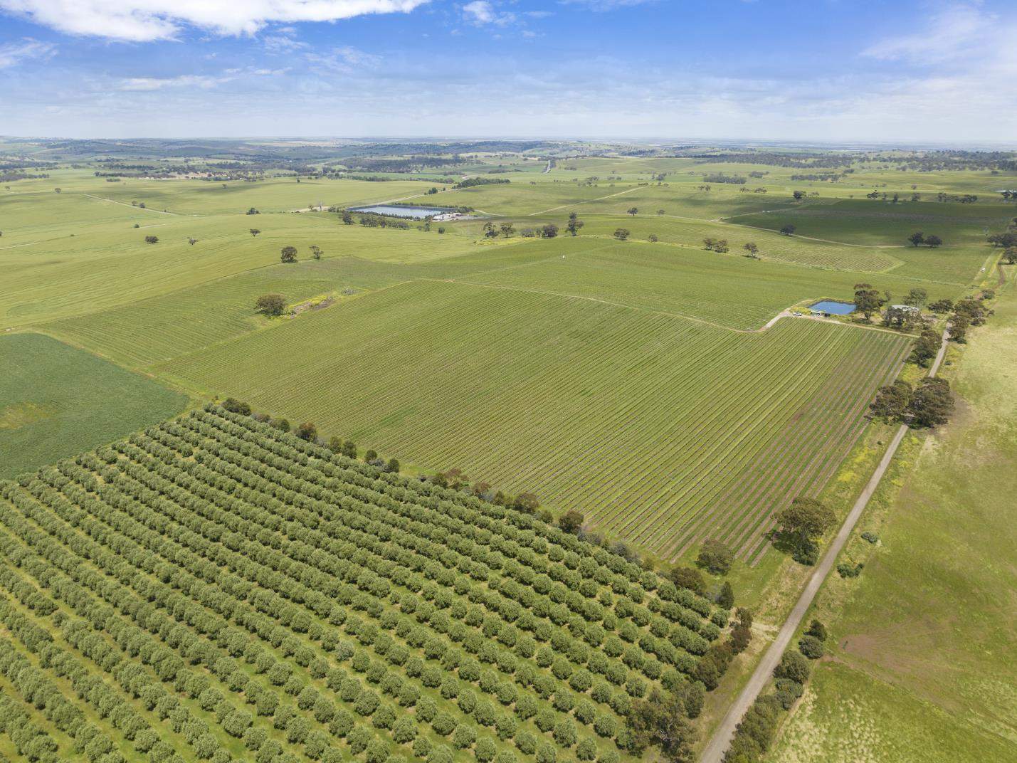 Lot 54 Tank Road, Auburn For Sale by Farmbuy.com - image 14