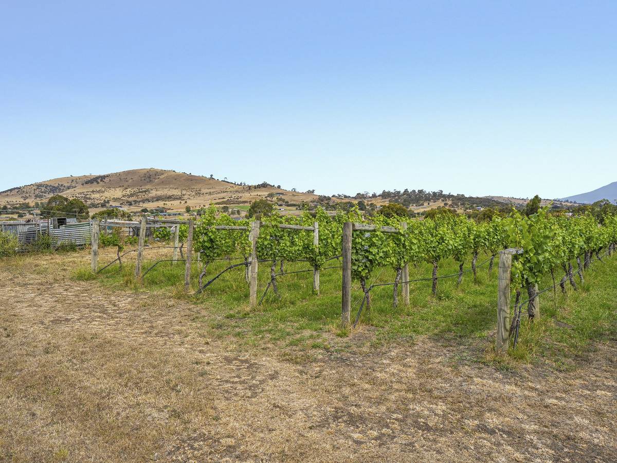 Lot 1, 173 Tea Tree Road, Brighton For Sale by Farmbuy.com - image 28