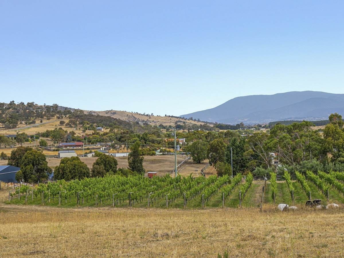 Lot 1, 173 Tea Tree Road, Brighton For Sale by Farmbuy.com - image 15