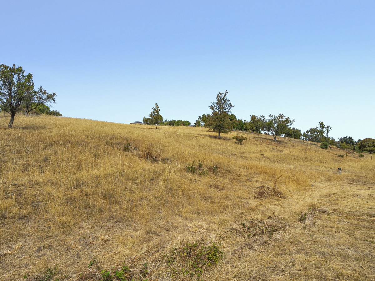 Lot 1 & 3, 173 Tea Tree Road, Brighton For Sale by Farmbuy.com - image 9