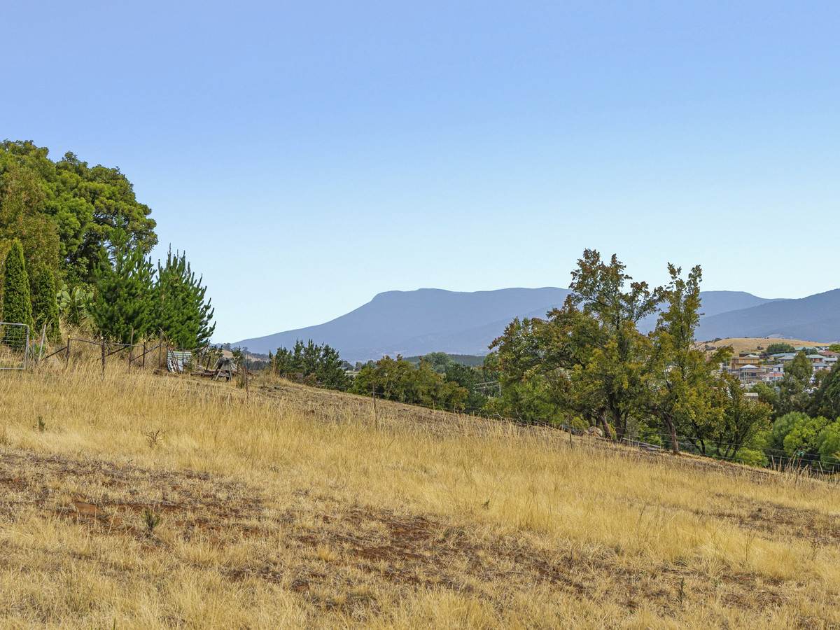 Lot 1 & 3, 173 Tea Tree Road, Brighton For Sale by Farmbuy.com - image 8