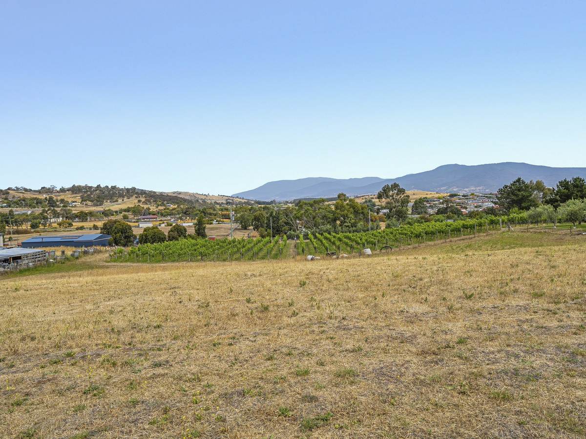 Lot 1, 173 Tea Tree Road, Brighton For Sale by Farmbuy.com - image 26