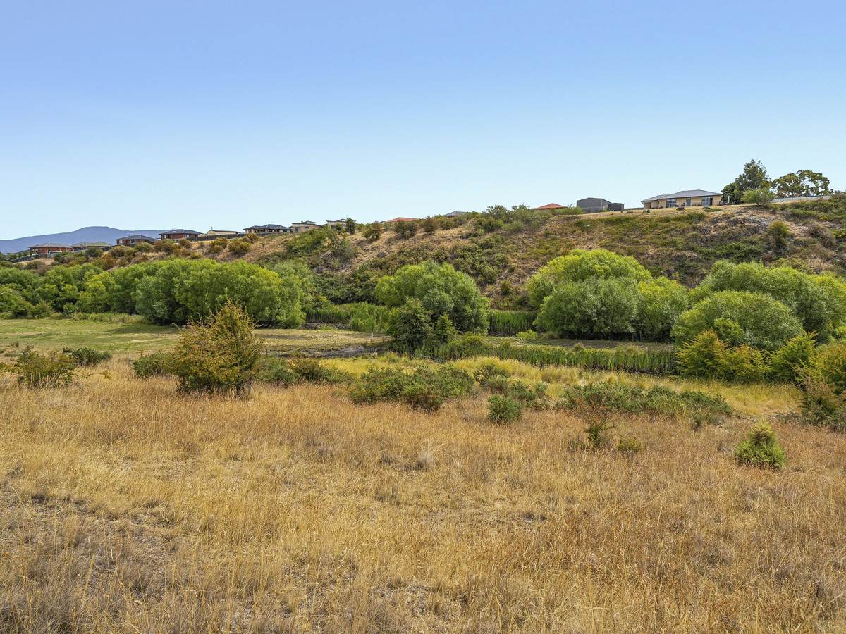Lot 1 & 3, 173 Tea Tree Road, Brighton For Sale by Farmbuy.com - image 5