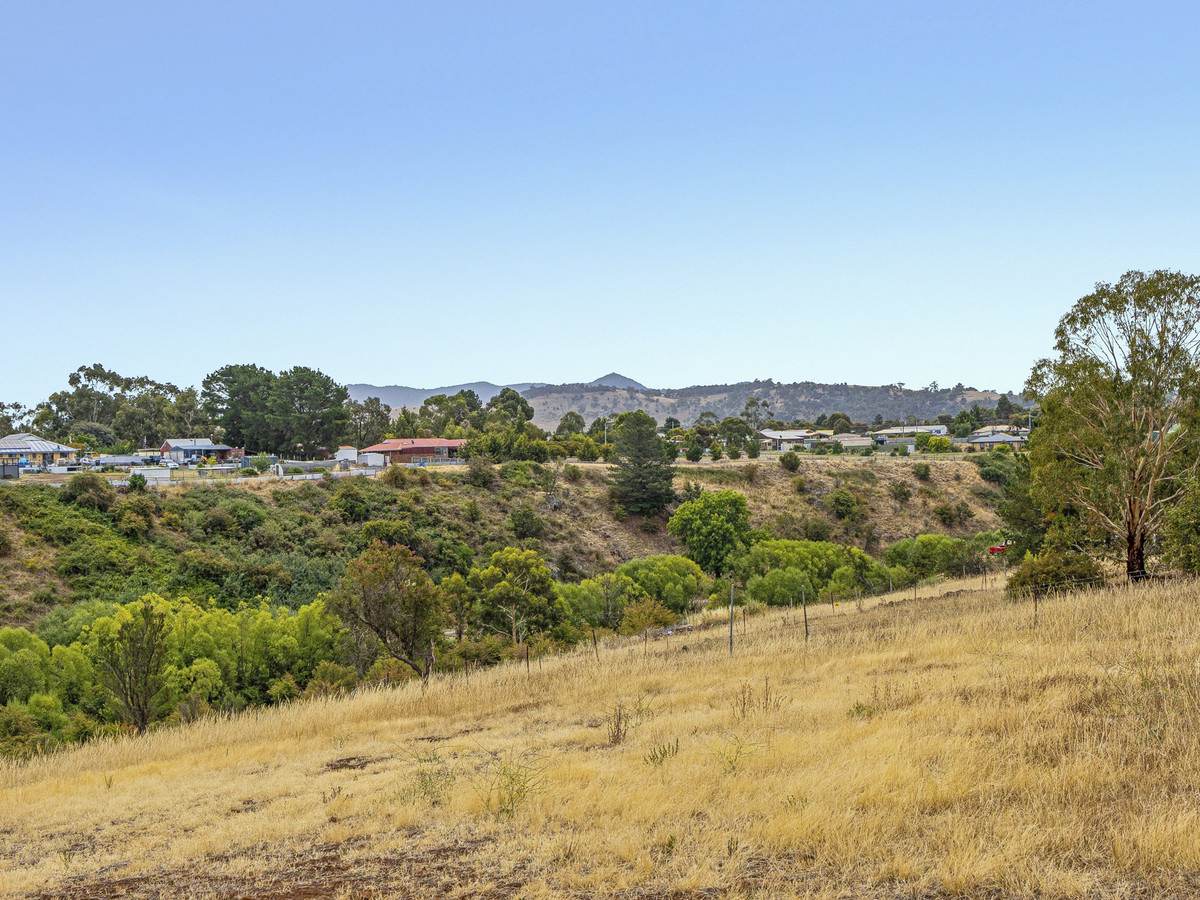 Lot 1 & 3, 173 Tea Tree Road, Brighton For Sale by Farmbuy.com - image 7