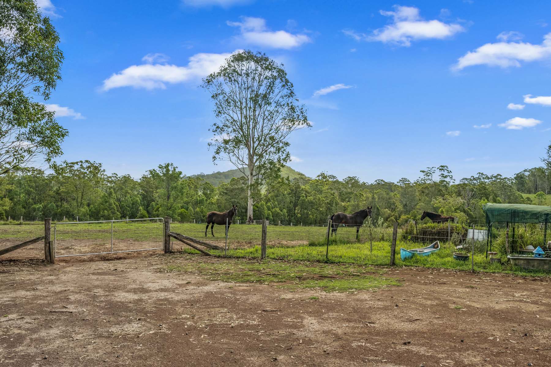 80 Dargavilles Road, Nabiac Sold by Farmbuy.com - image 20