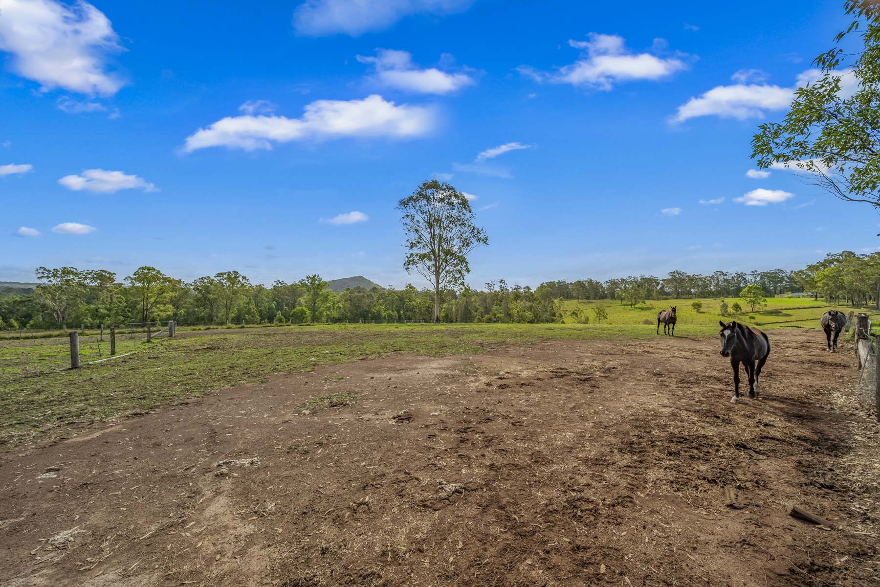 80 Dargavilles Road, Nabiac Sold by Farmbuy.com - image 21