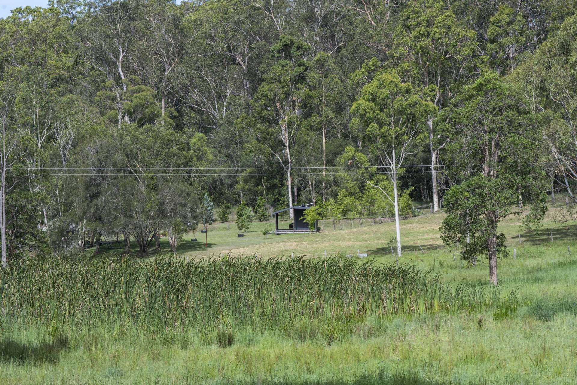 Lot 65,  Cook Street, Lawrence For Sale by Farmbuy.com - image 19