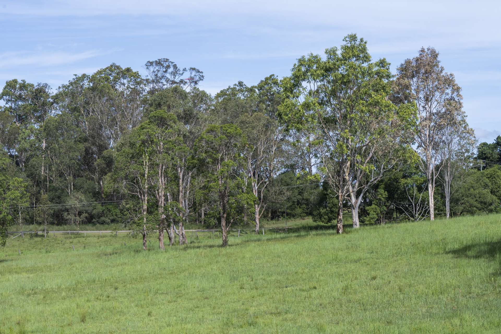 Lot 65,  Cook Street, Lawrence For Sale by Farmbuy.com - image 22