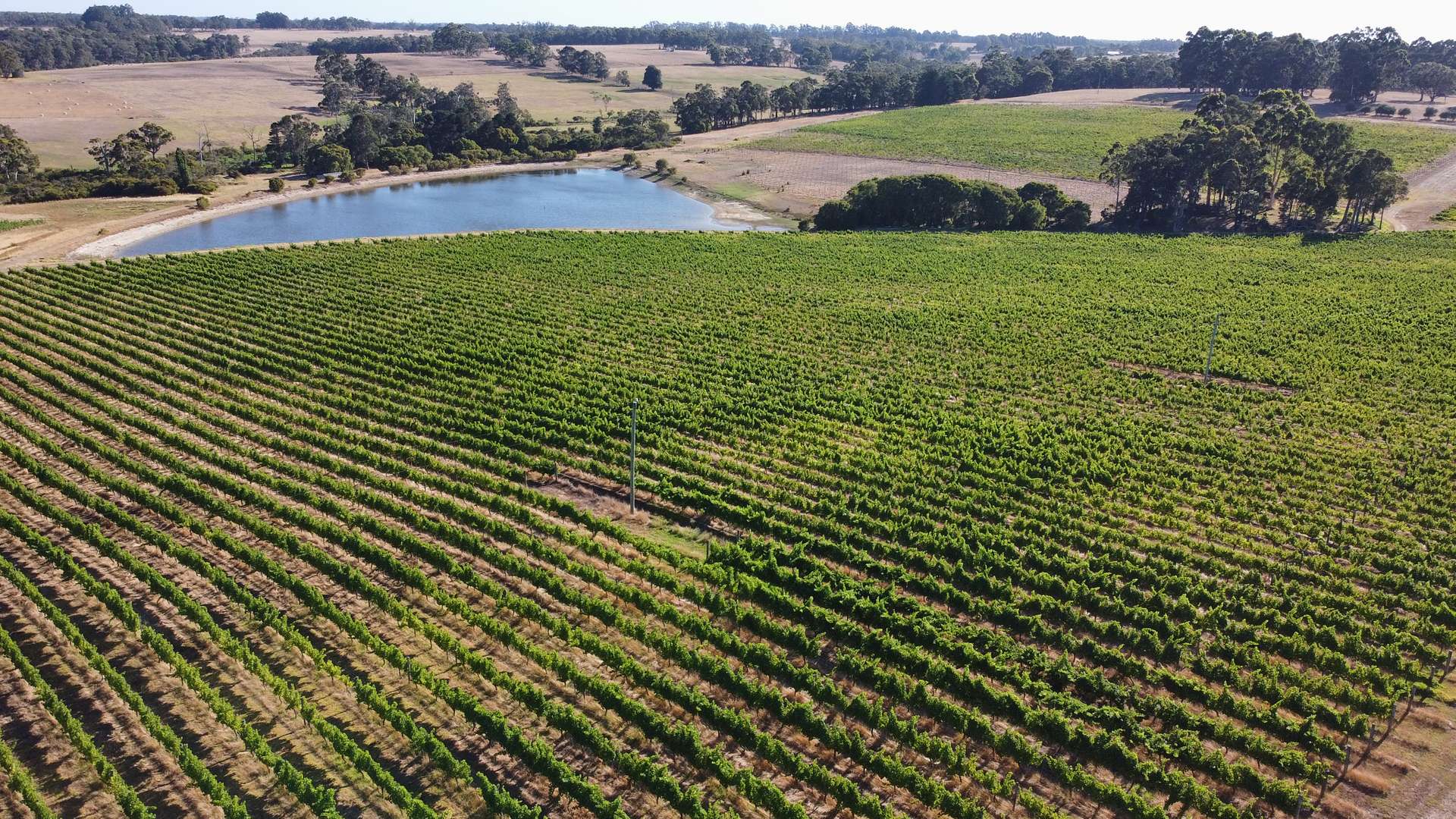 346 Lucas Road, Rosa Glen For Sale by Farmbuy.com - image 7