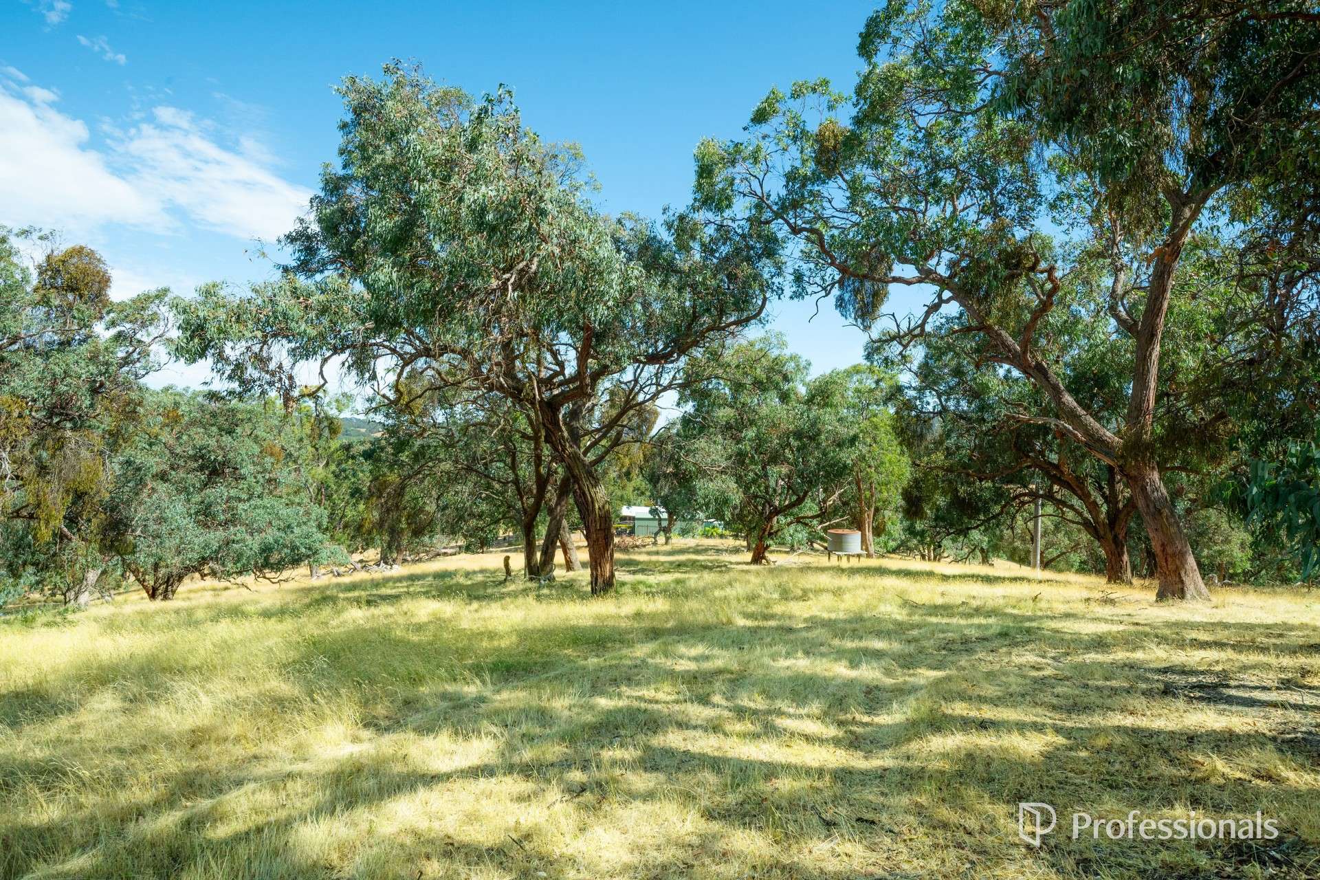150 Blackleather Creek Road, Launching Place Sold by Farmbuy.com - image 24
