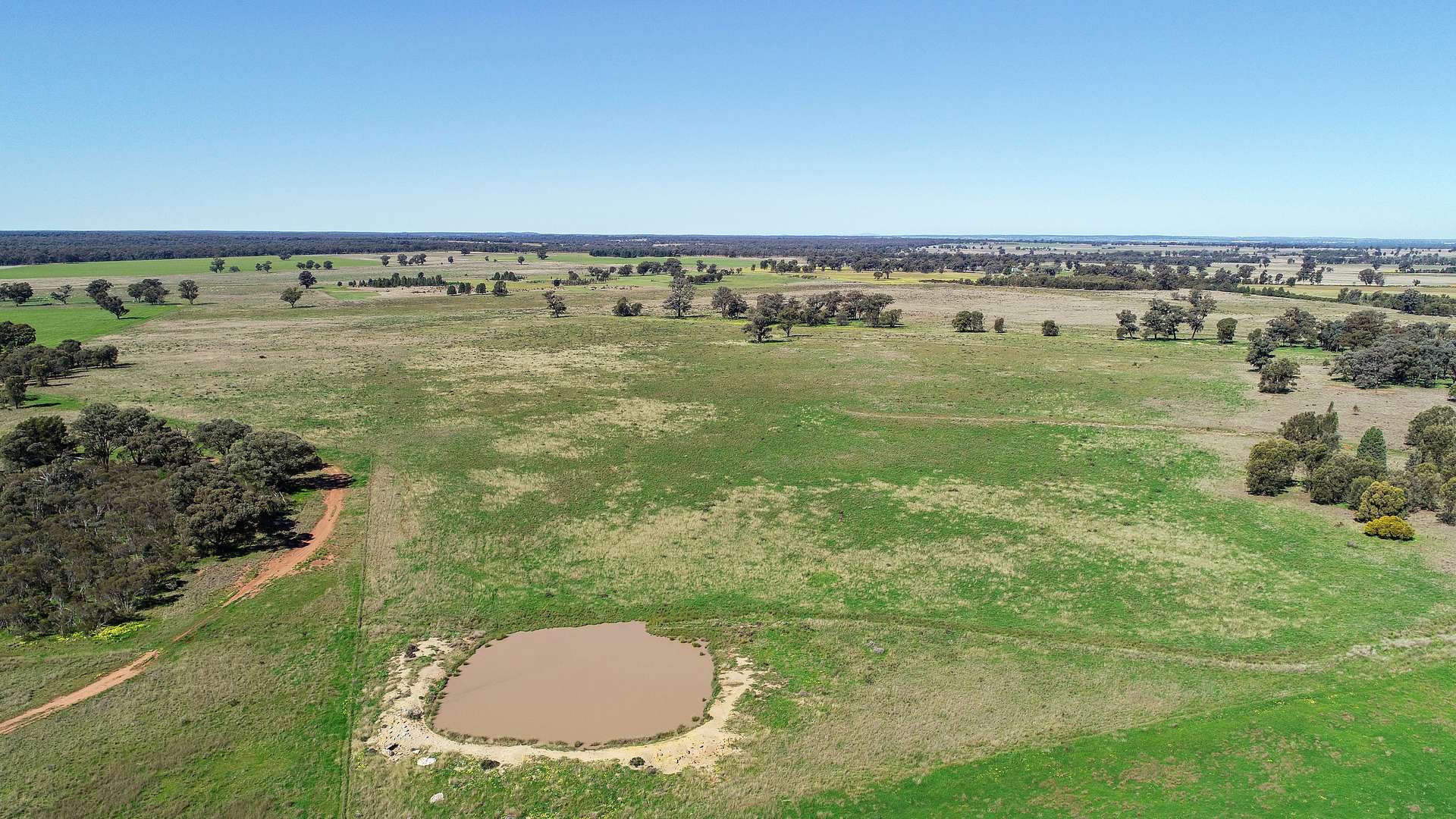 25L & 40R North Terramungamine Road, Dubbo Sold by Farmbuy.com - image 15