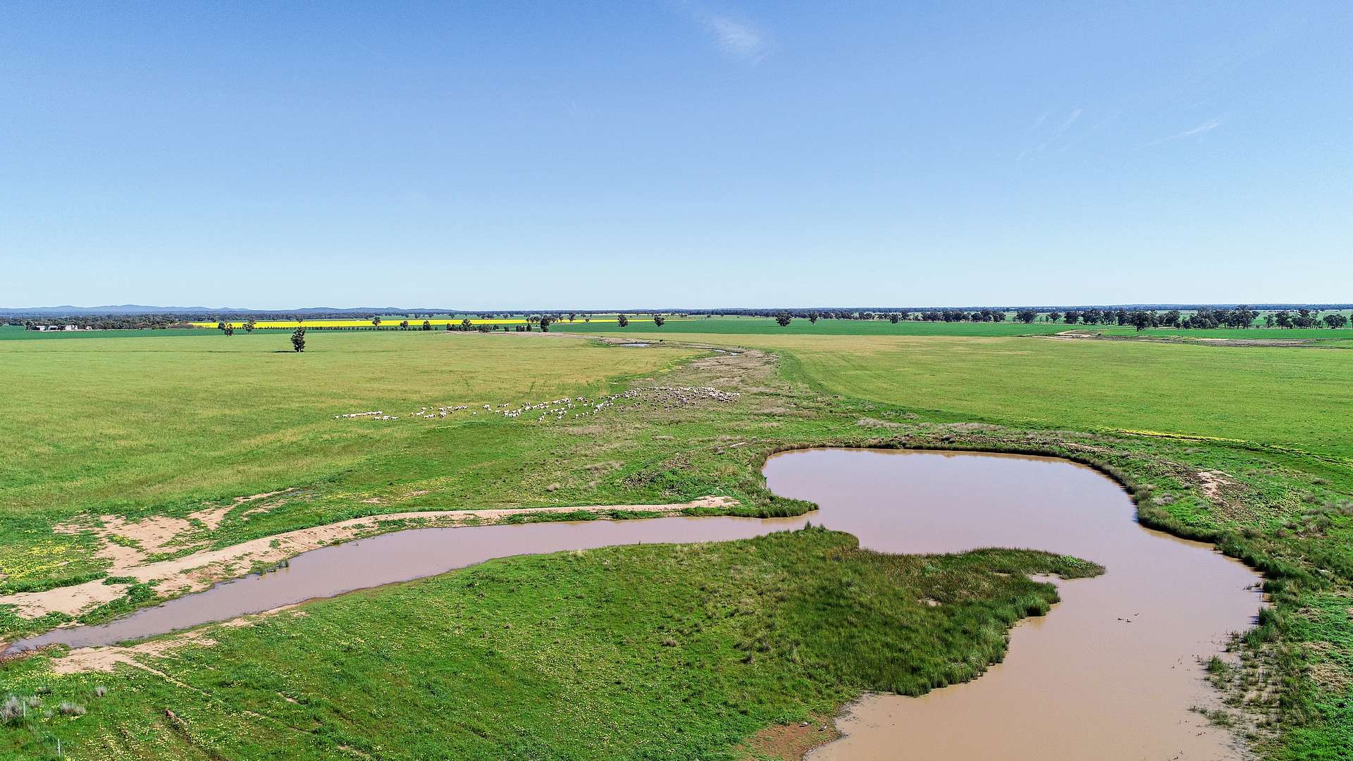 25L & 40R North Terramungamine Road, Dubbo Sold by Farmbuy.com - image 3