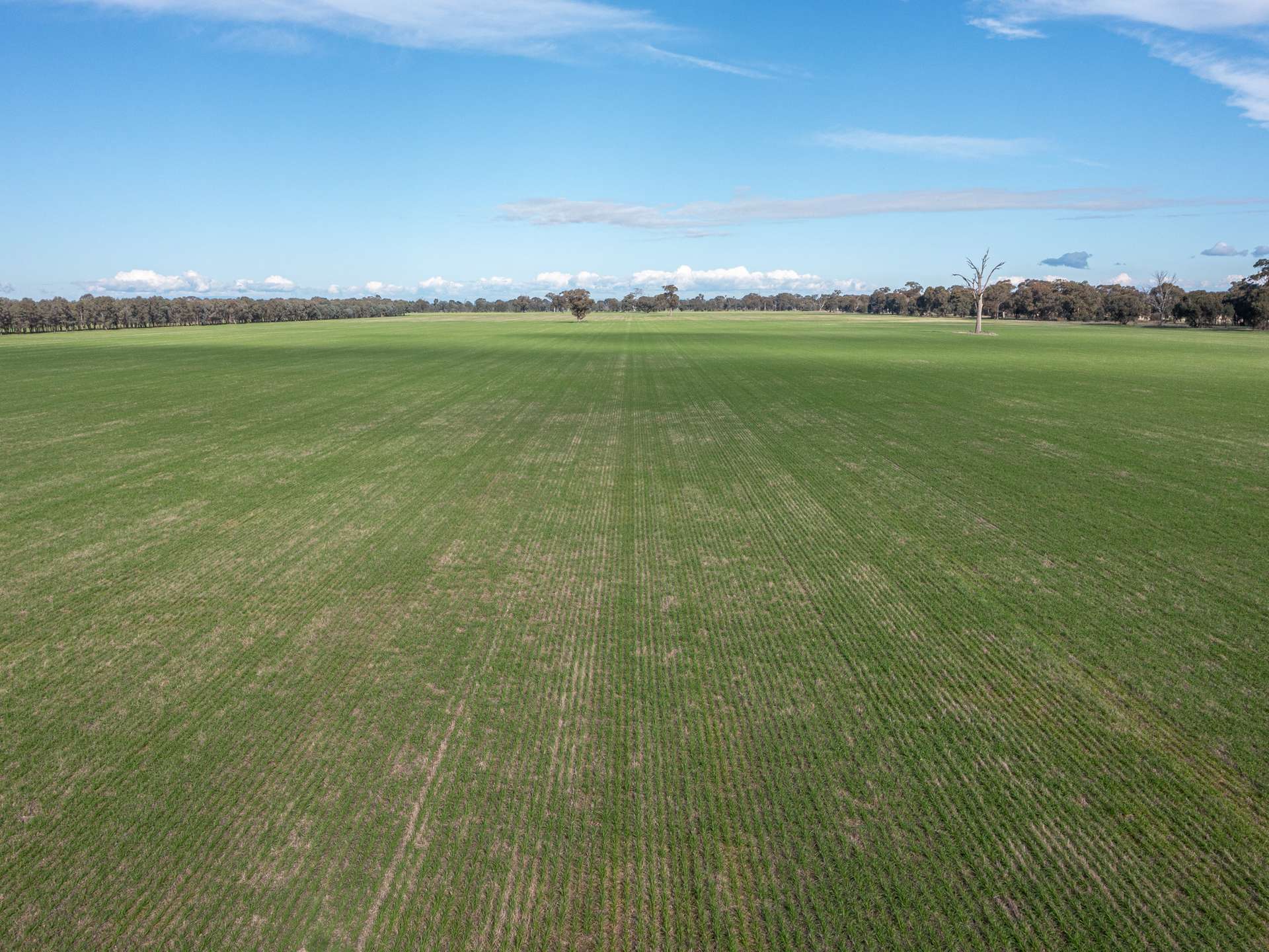 CA 60 Federation Way, Springhurst For Sale by Farmbuy.com - image 9