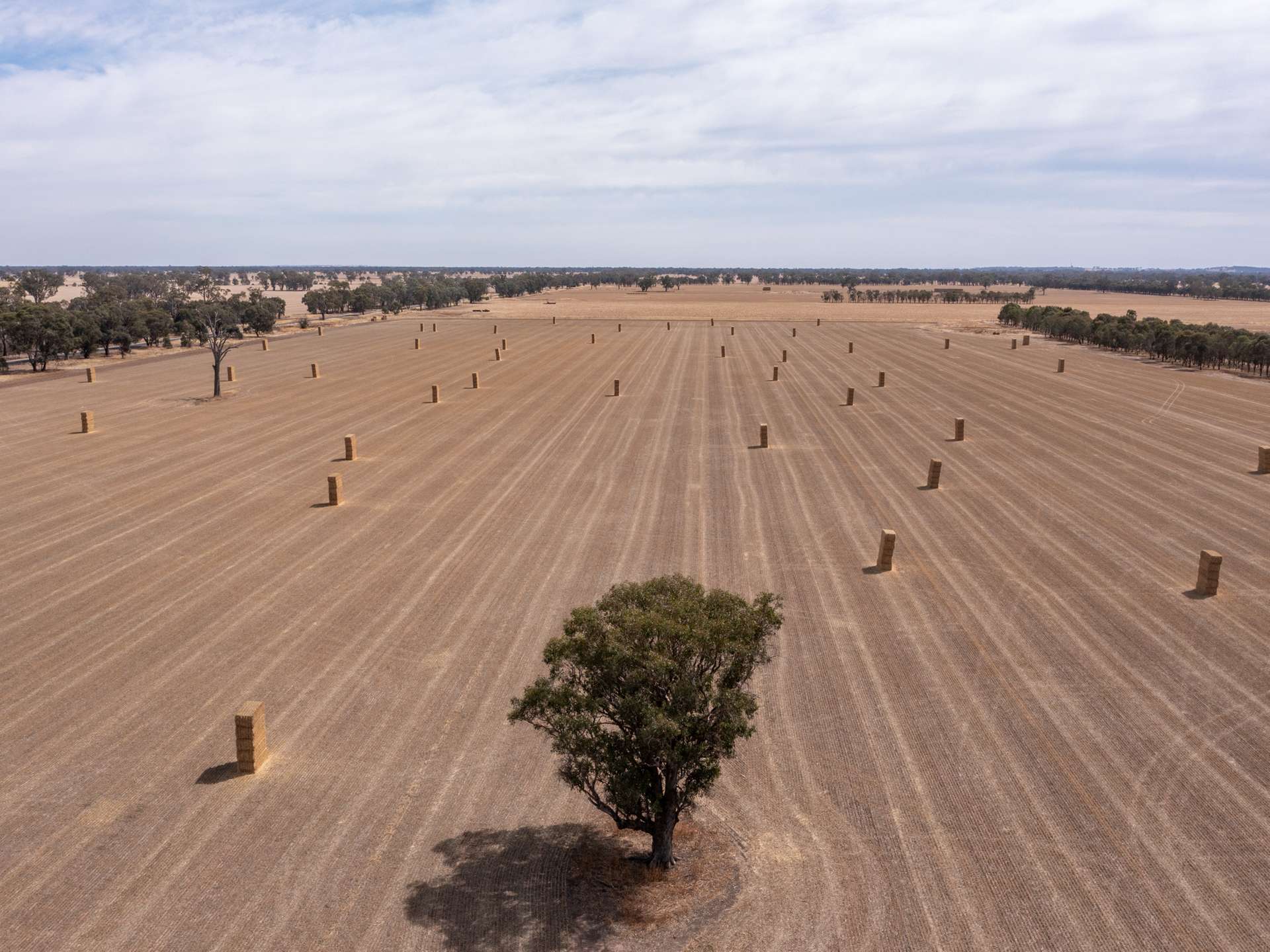 CA 60 Federation Way, Springhurst For Sale by Farmbuy.com - image 8