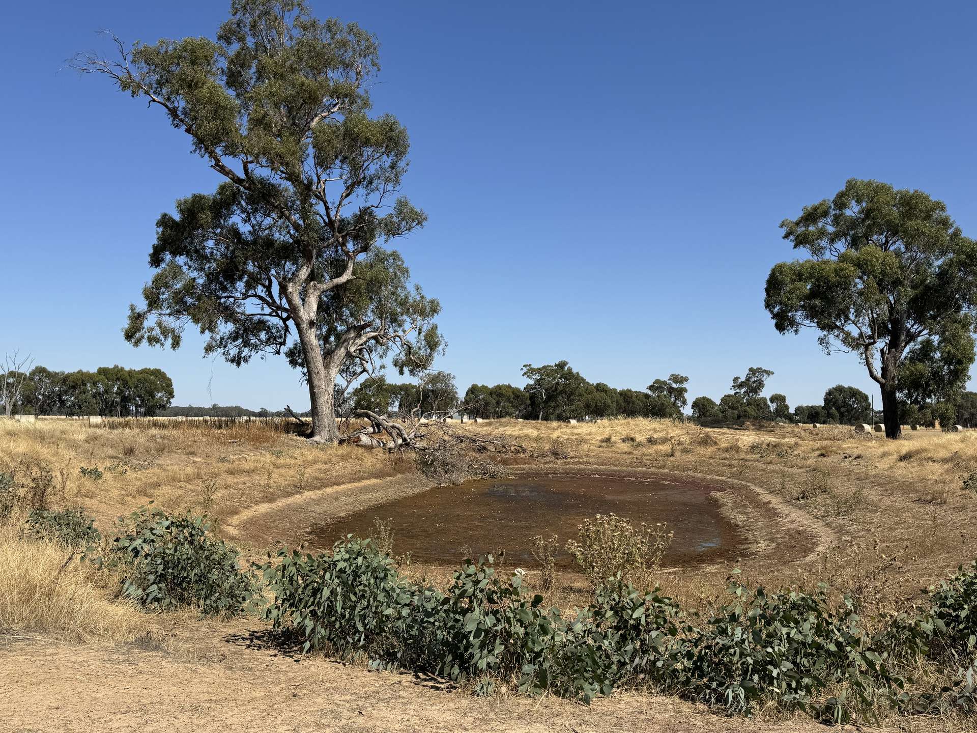 CA 60 Federation Way, Springhurst For Sale by Farmbuy.com - image 12