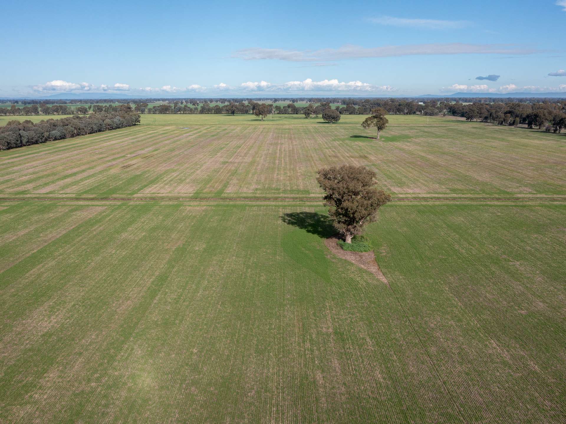 CA 60 Federation Way, Springhurst For Sale by Farmbuy.com - image 10