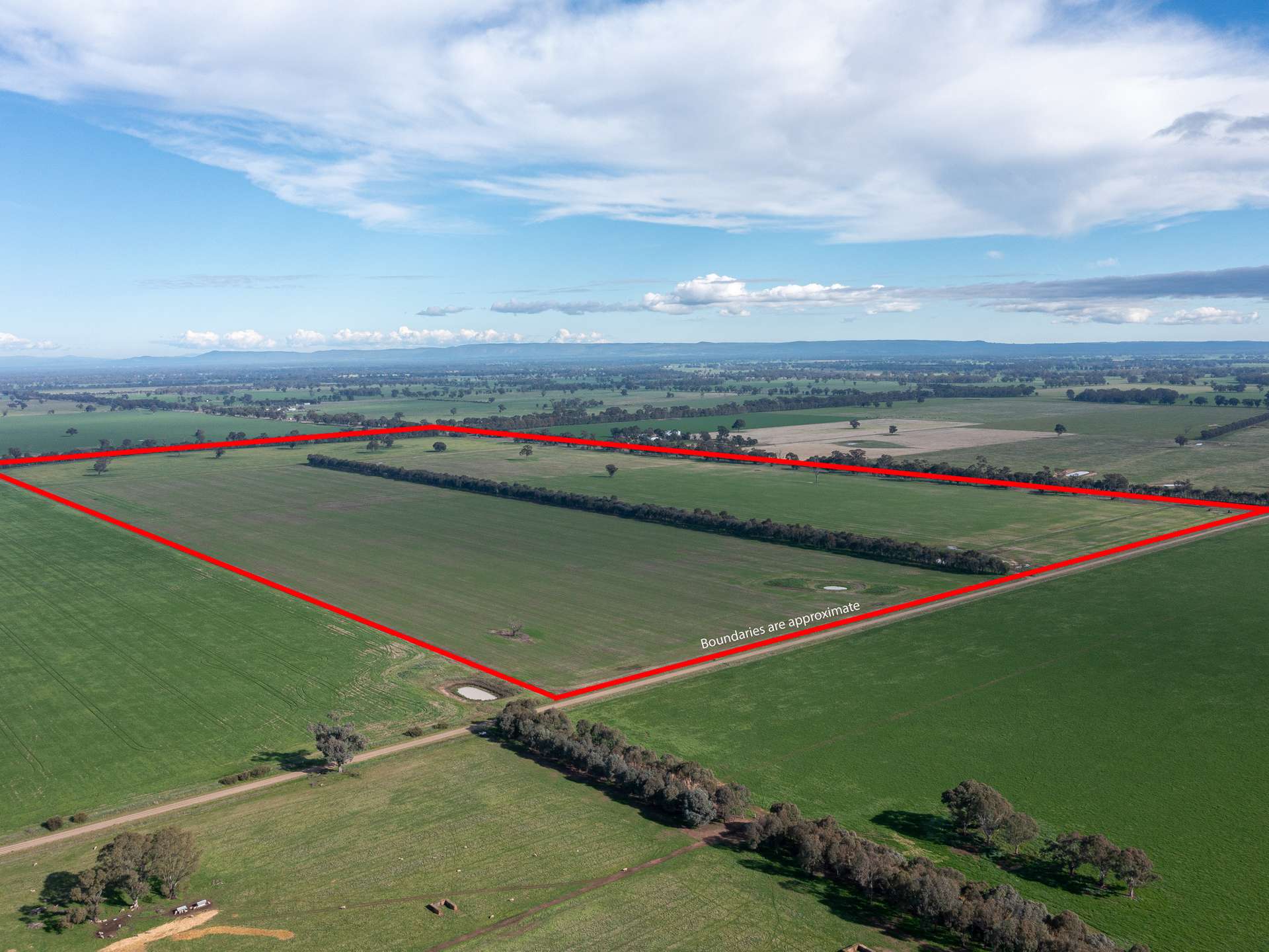 CA 60 Federation Way, Springhurst For Sale by Farmbuy.com - image 5