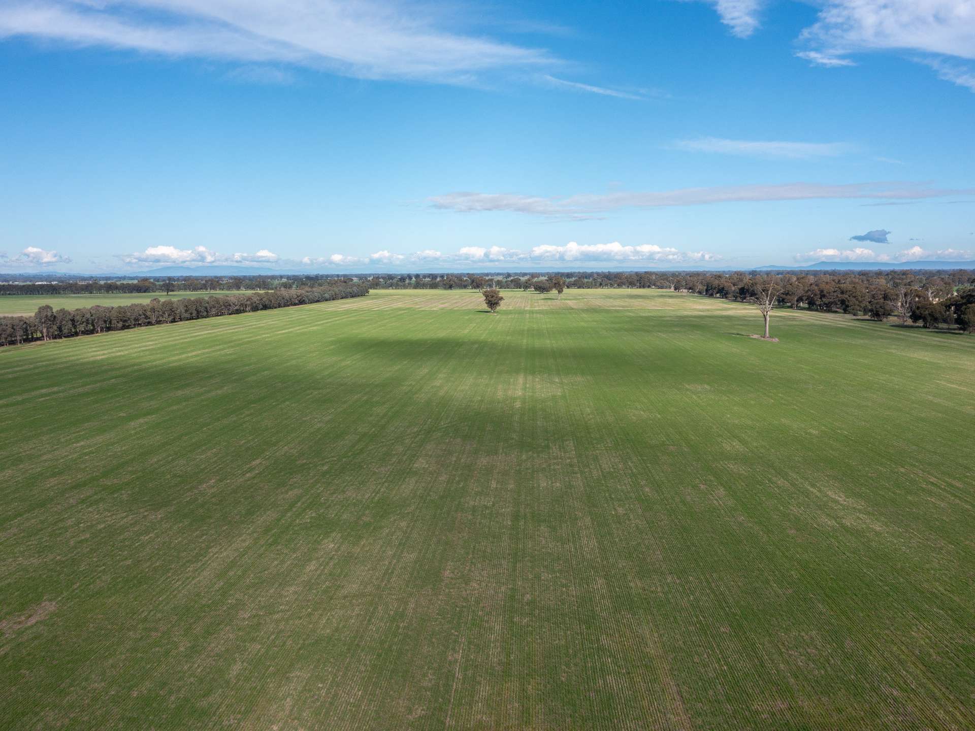 CA 60 Federation Way, Springhurst For Sale by Farmbuy.com - image 7