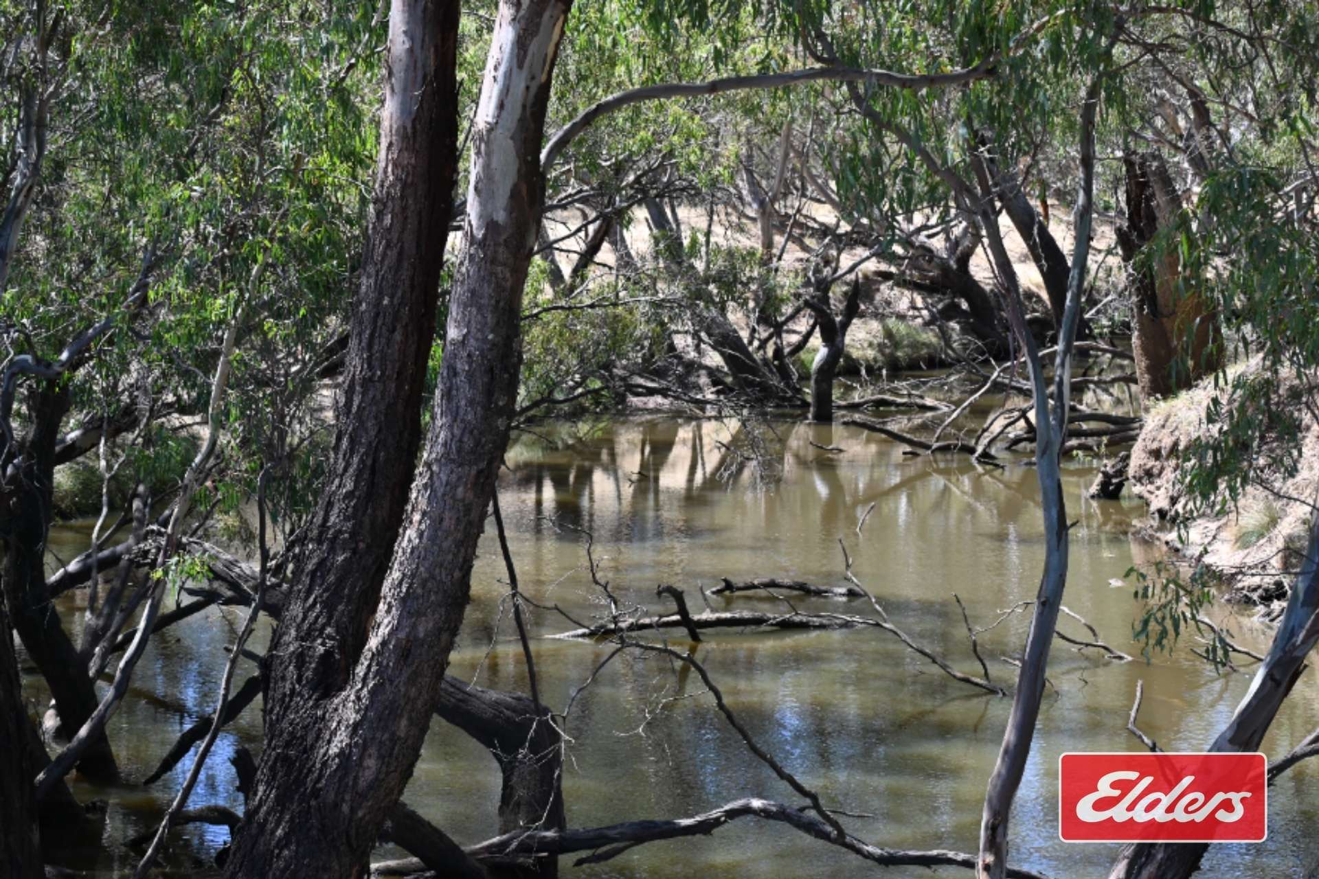 Loddon West Road, Fiery Flat For Sale by Farmbuy.com - image 12