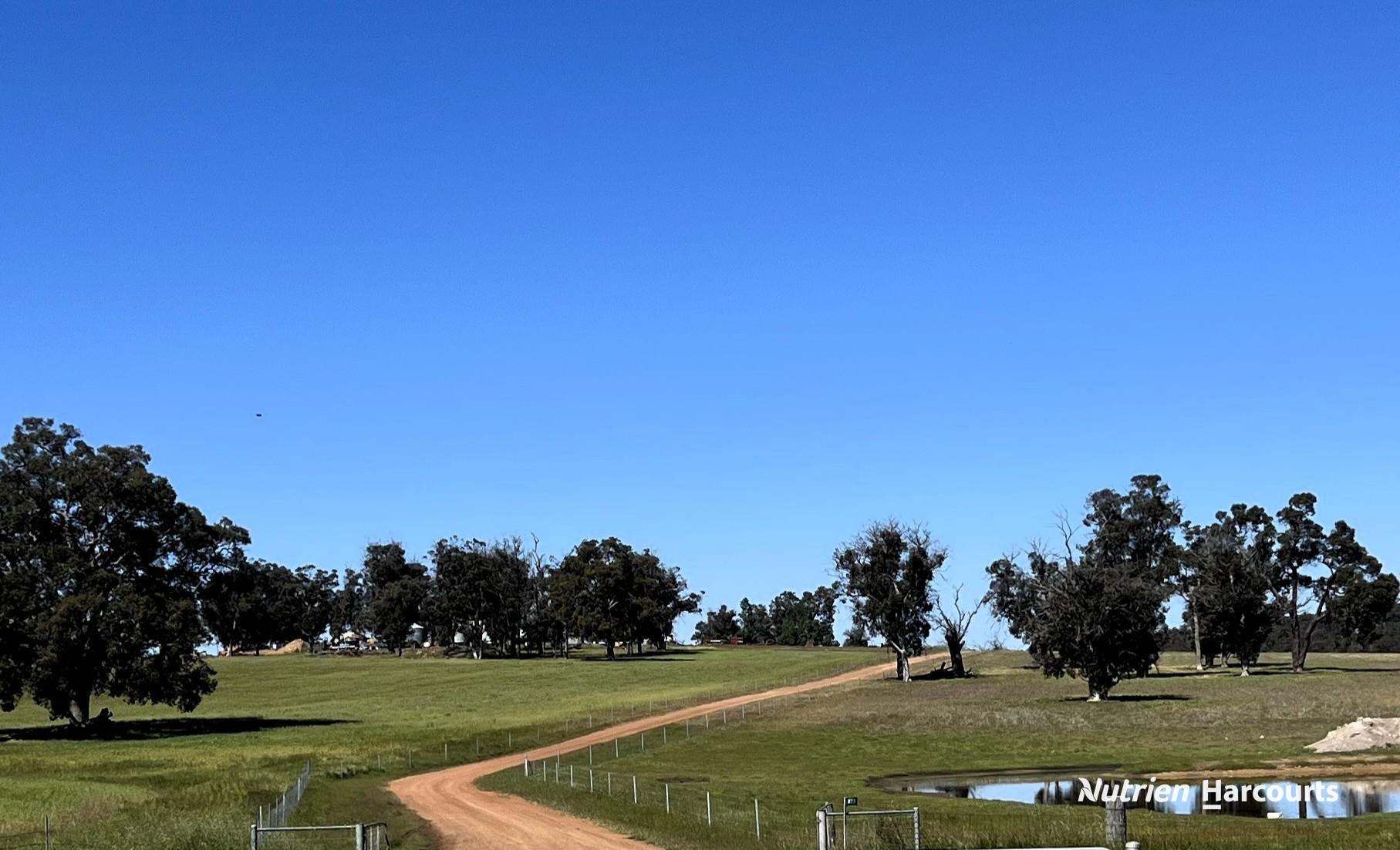 823 (Lot 900) Talbot West Road, Mount Observation For Sale by Farmbuy.com - image 6