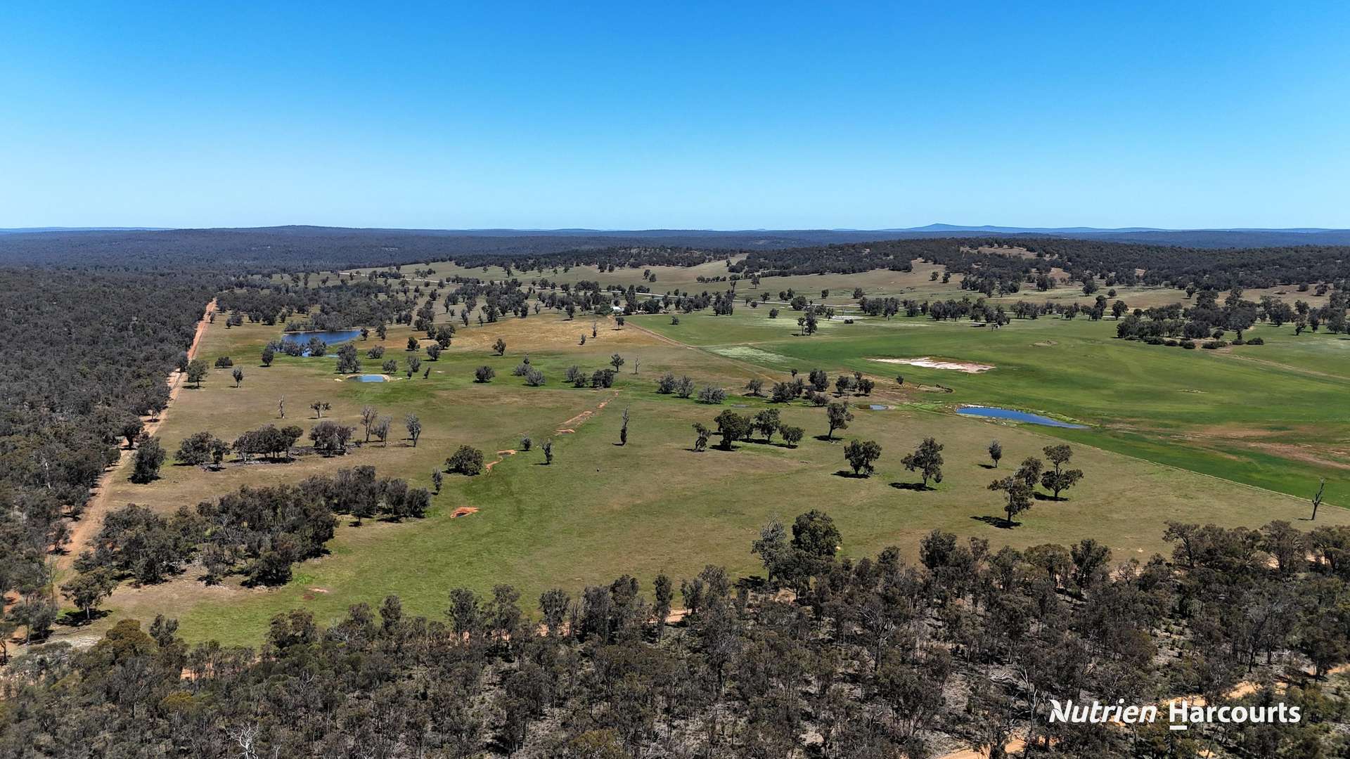823 (Lot 900) Talbot West Road, Mount Observation For Sale by Farmbuy.com - image 5