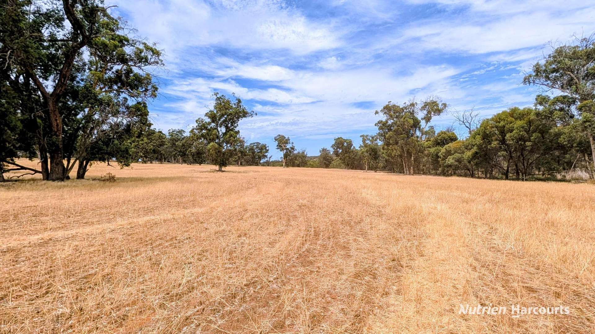 823 (Lot 900) Talbot West Road, Mount Observation For Sale by Farmbuy.com - image 32