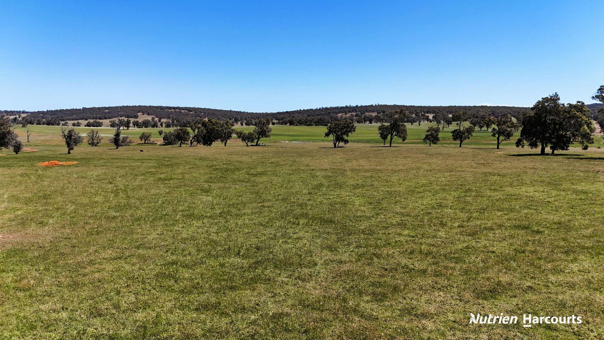 823 (Lot 900) Talbot West Road, Mount Observation For Sale by Farmbuy.com - image 9