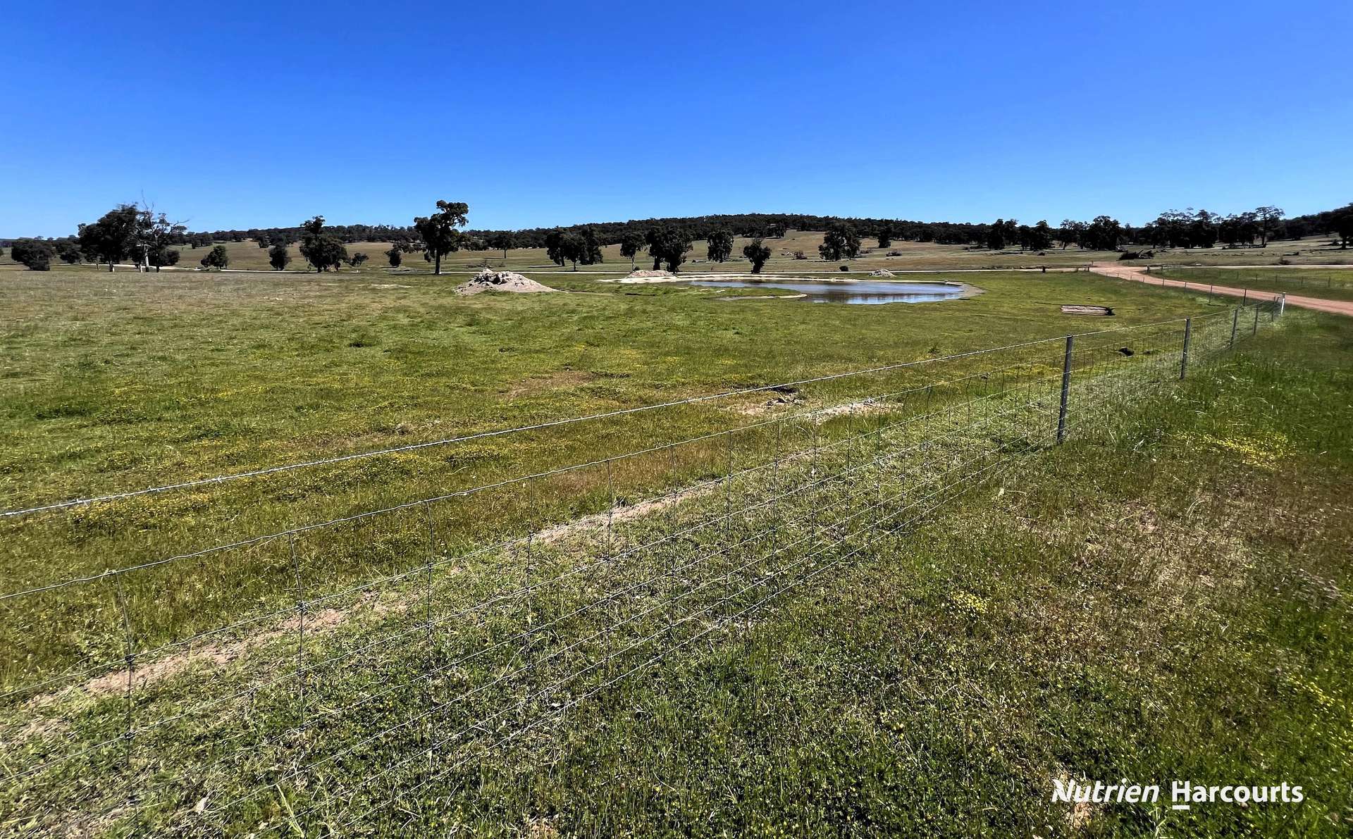 823 (Lot 900) Talbot West Road, Mount Observation For Sale by Farmbuy.com - image 10