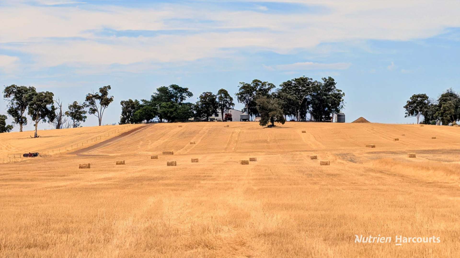 823 (Lot 900) Talbot West Road, Mount Observation For Sale by Farmbuy.com - image 26