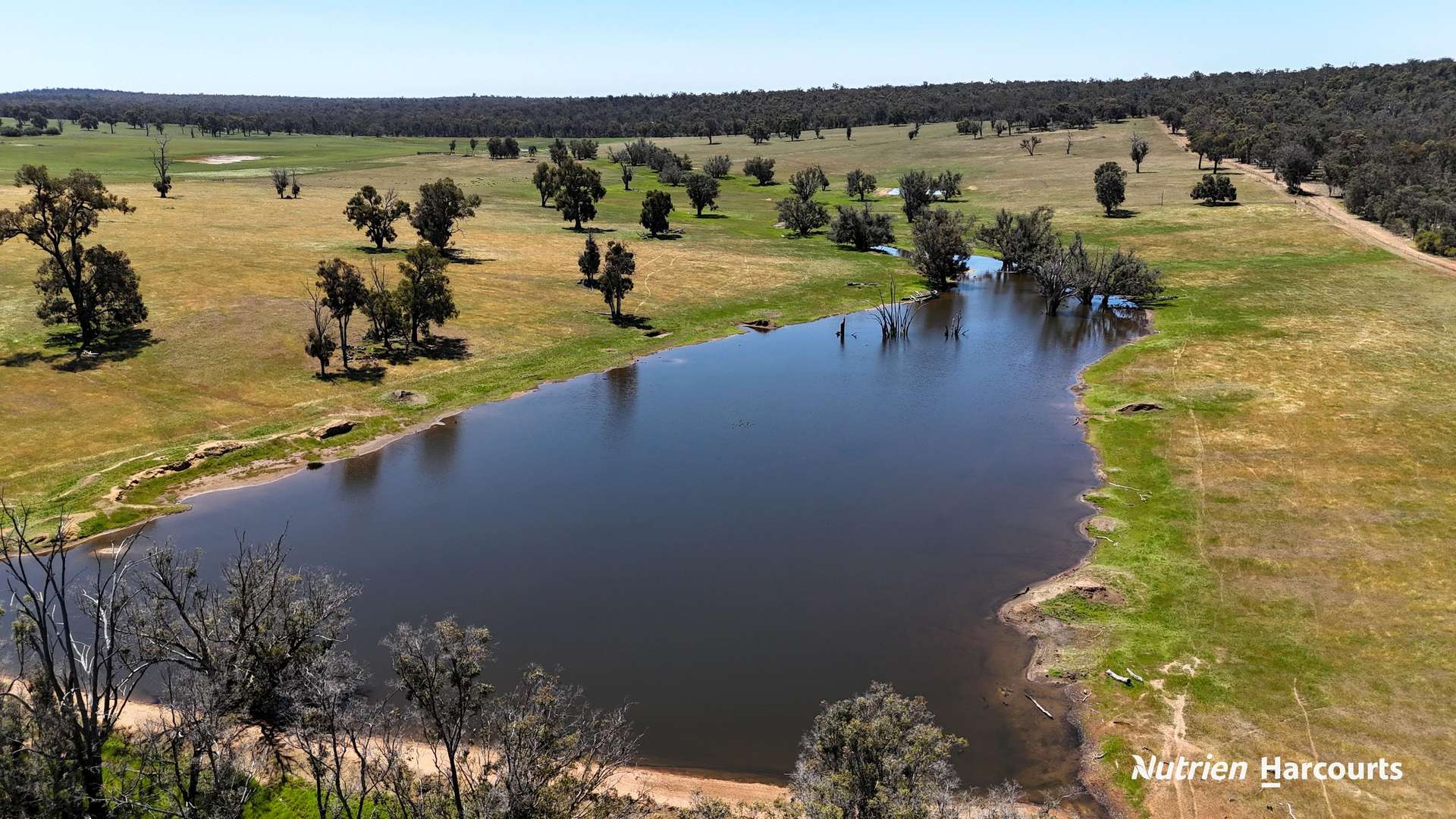 823 (Lot 900) Talbot West Road, Mount Observation For Sale by Farmbuy.com - image 7