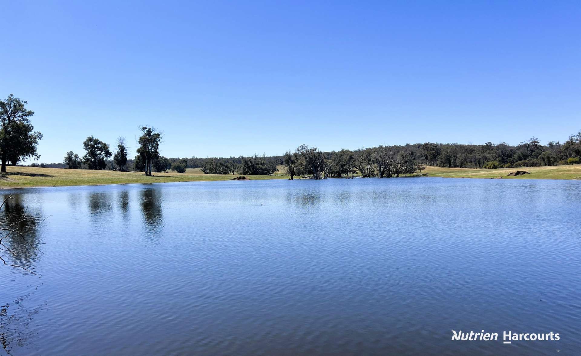 823 (Lot 900) Talbot West Road, Mount Observation For Sale by Farmbuy.com - image 2