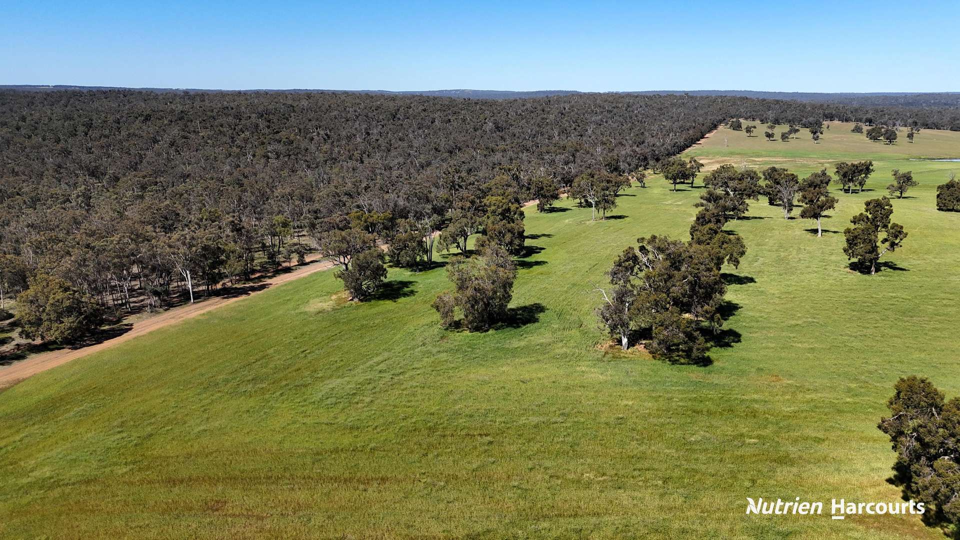 823 (Lot 900) Talbot West Road, Mount Observation For Sale by Farmbuy.com - image 8