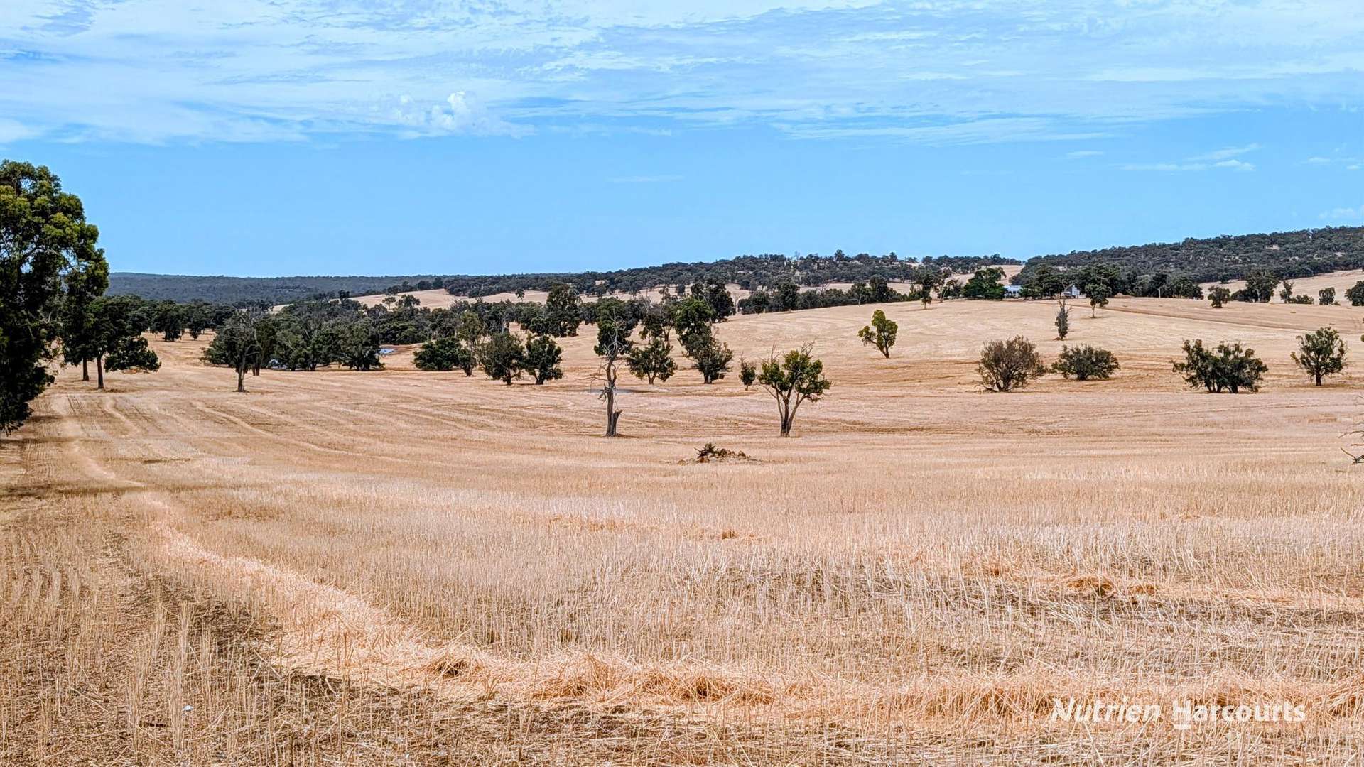 823 (Lot 900) Talbot West Road, Mount Observation For Sale by Farmbuy.com - image 29