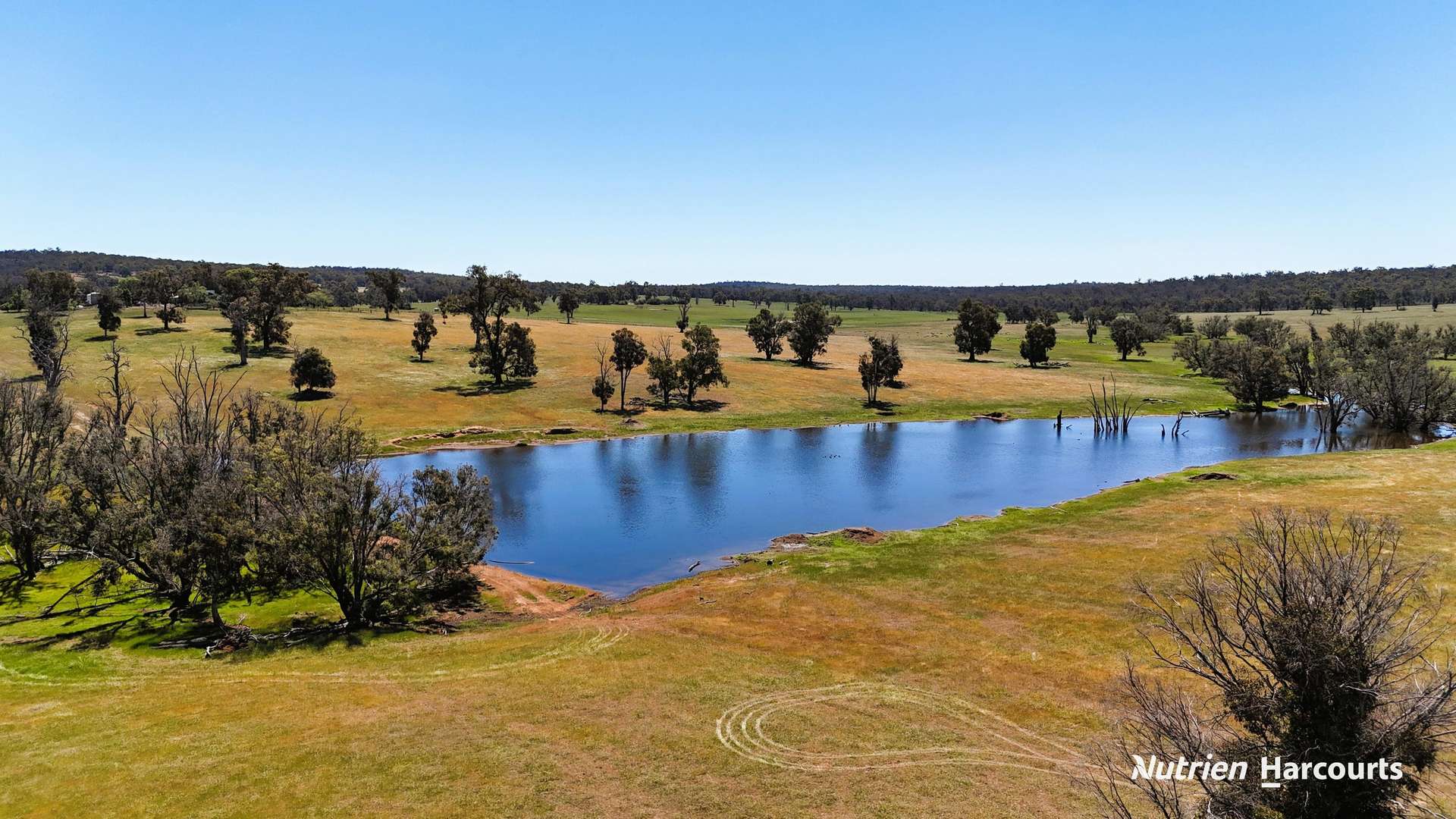 823 (Lot 900) Talbot West Road, Mount Observation For Sale by Farmbuy.com - image 11