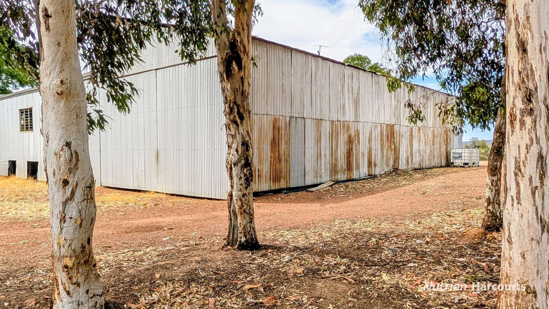823 (Lot 900) Talbot West Road, Mount Observation For Sale by Farmbuy.com - image 23