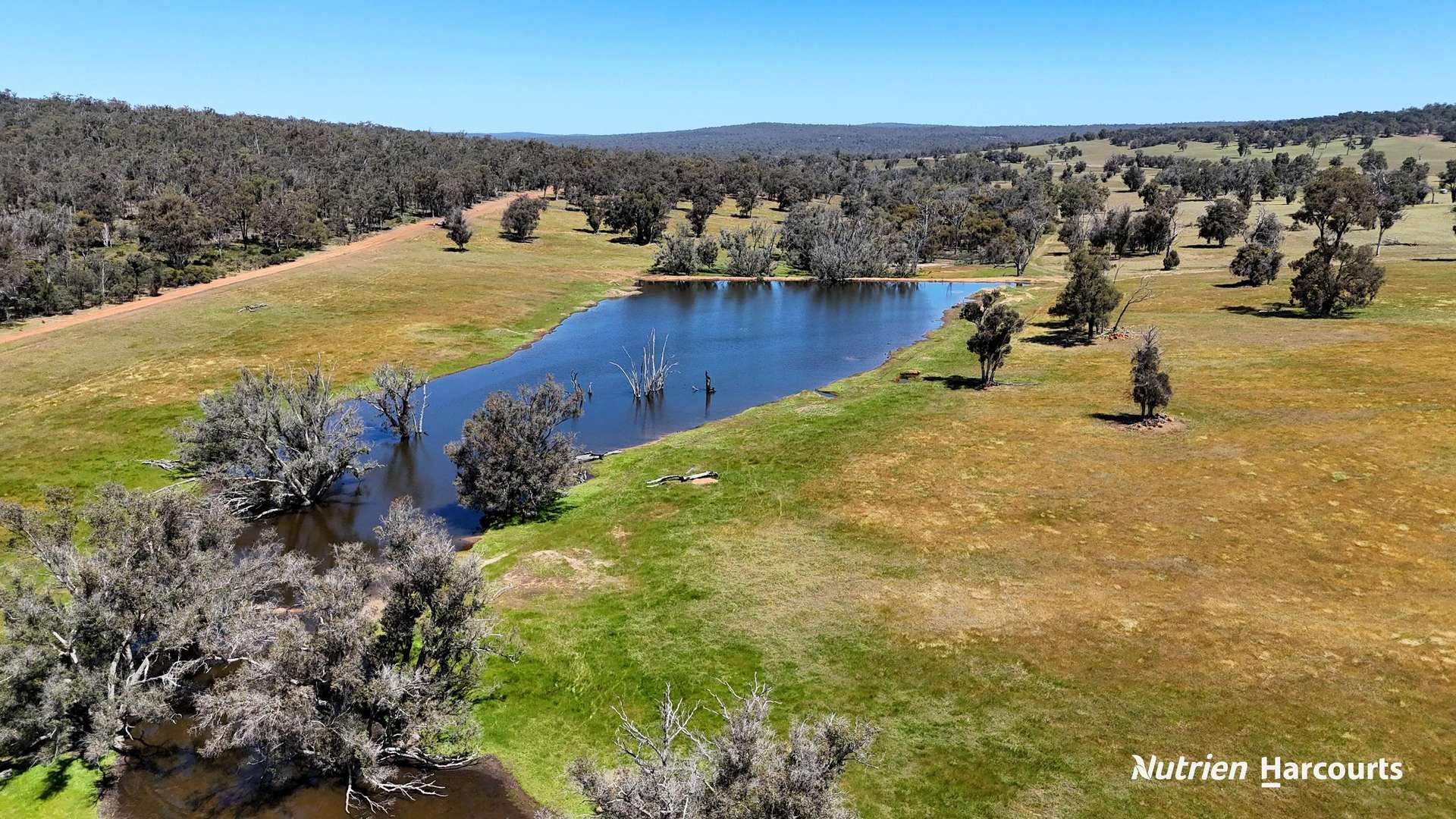 823 (Lot 900) Talbot West Road, Mount Observation For Sale by Farmbuy.com - image 3