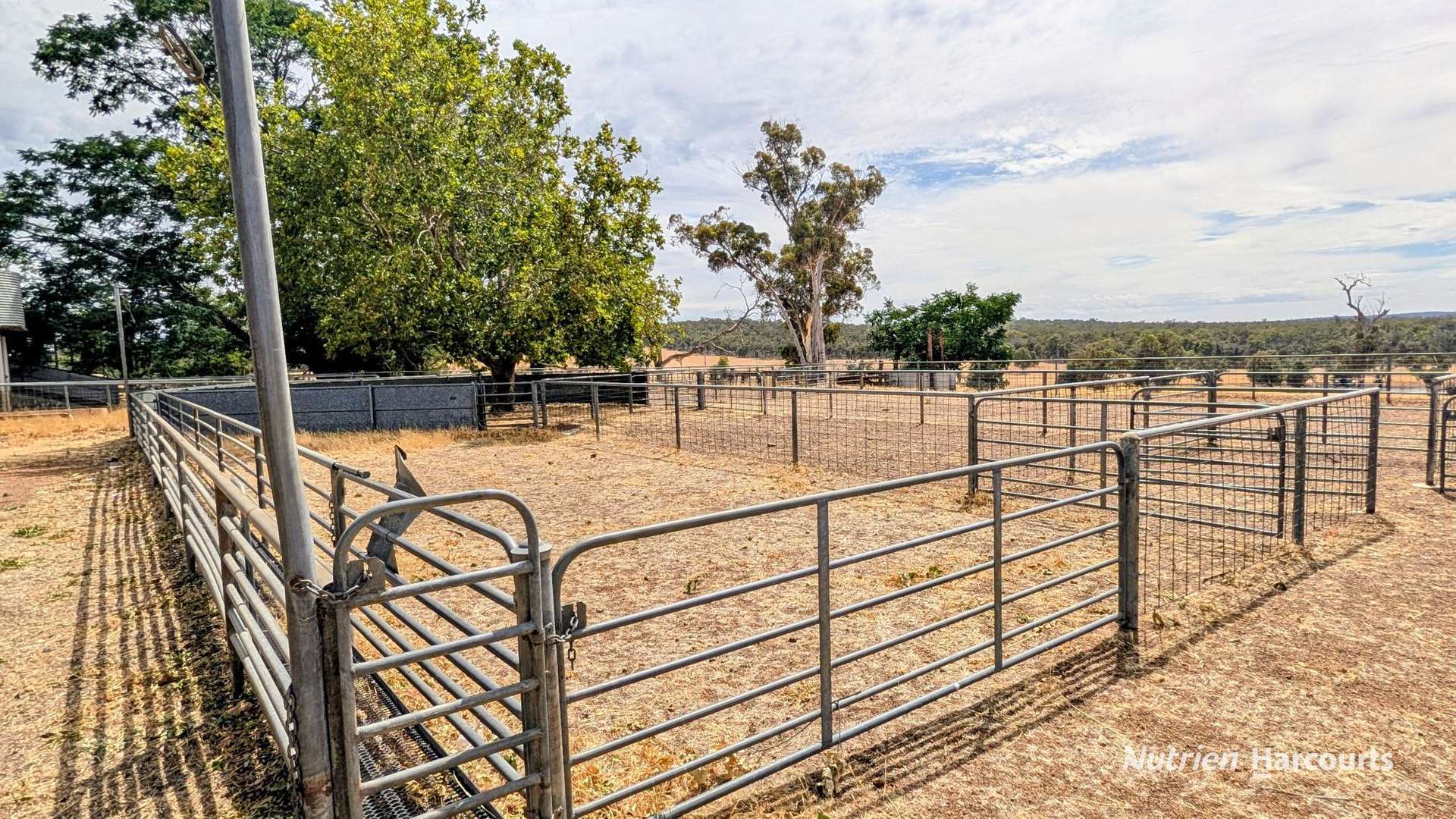 823 (Lot 900) Talbot West Road, Mount Observation For Sale by Farmbuy.com - image 18