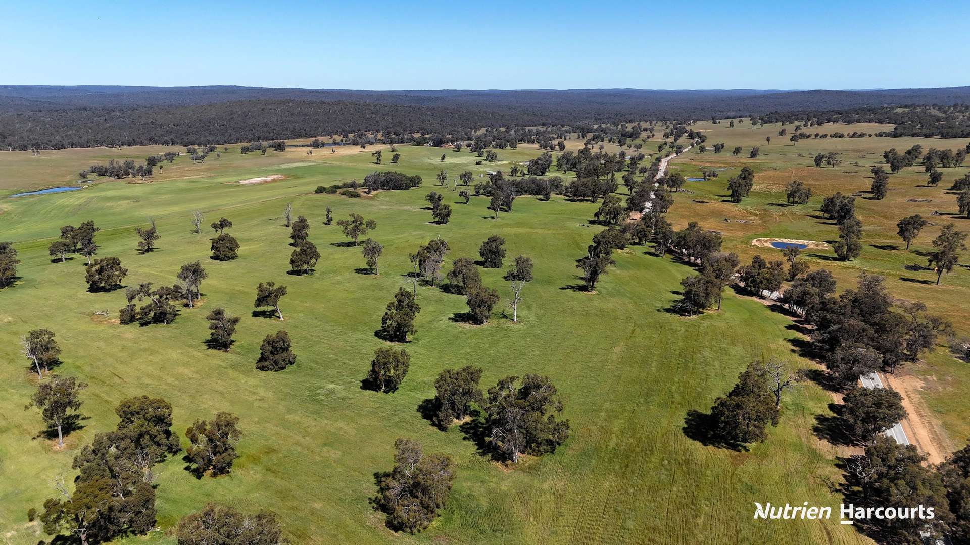 823 (Lot 900) Talbot West Road, Mount Observation For Sale by Farmbuy.com - image 4