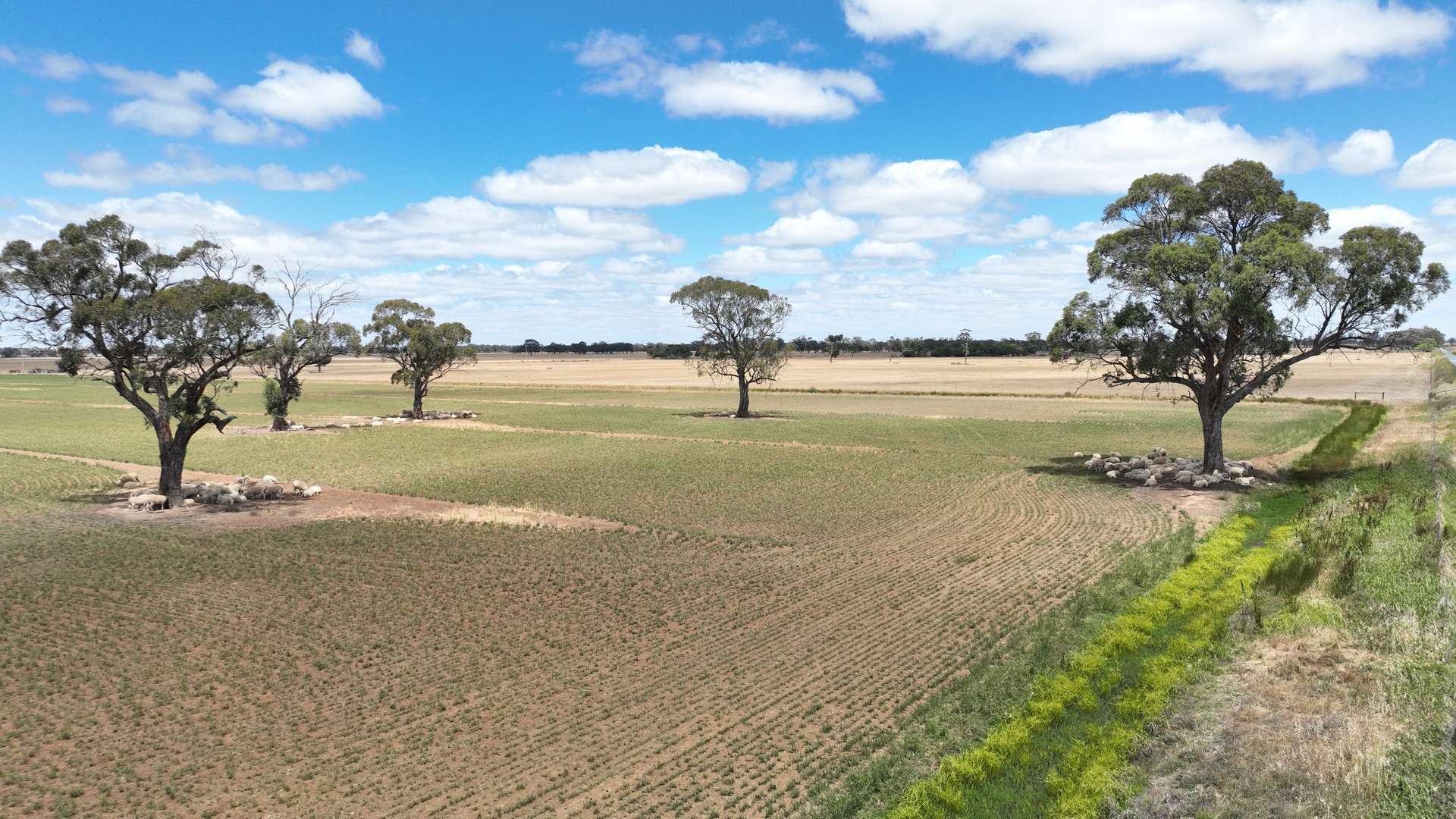 "Ramleh"/19714 Riverina Highway, Deniliquin Sold by Farmbuy.com - image 32