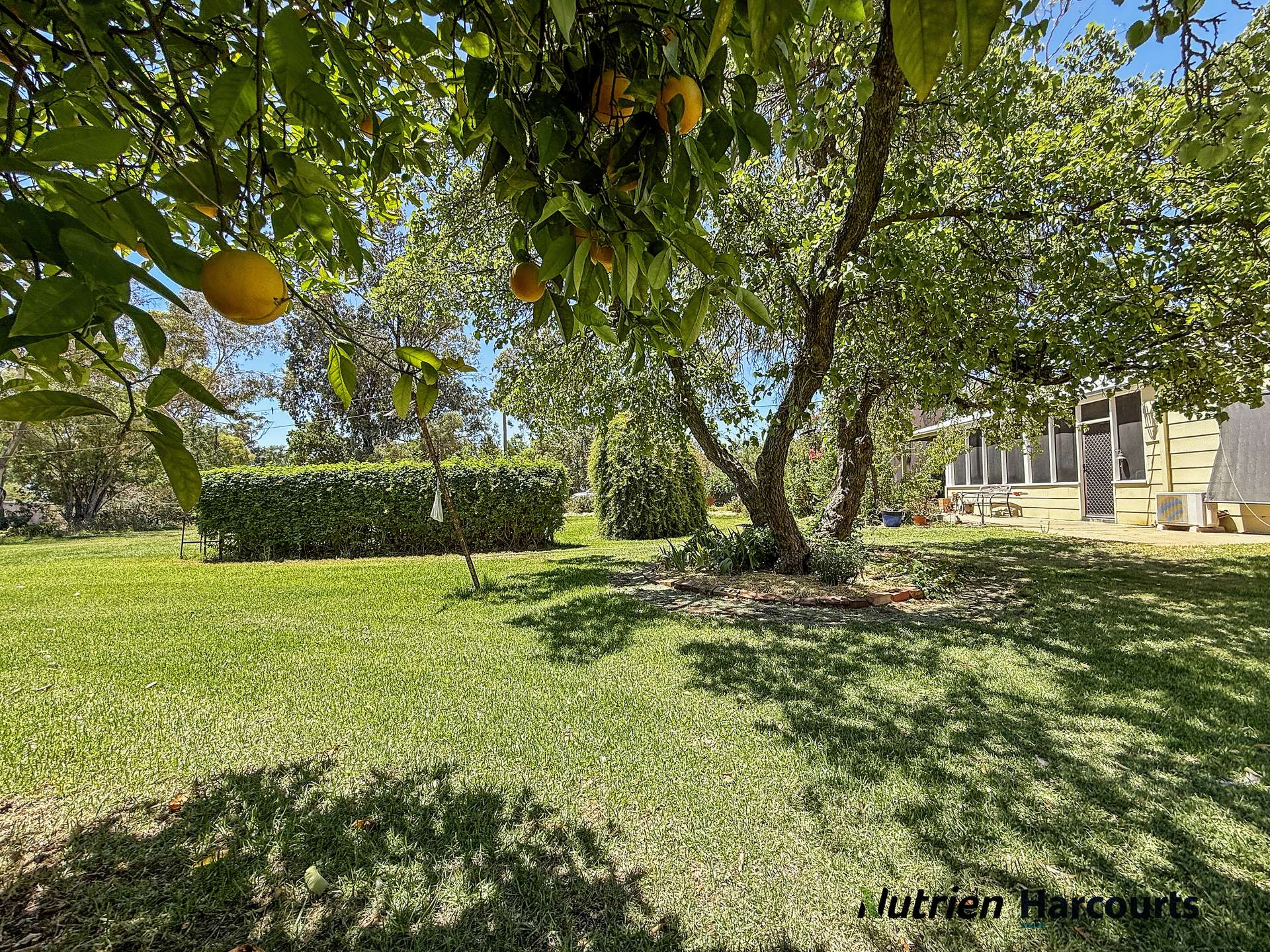 "Ramleh"/19714 Riverina Highway, Deniliquin Sold by Farmbuy.com - image 29