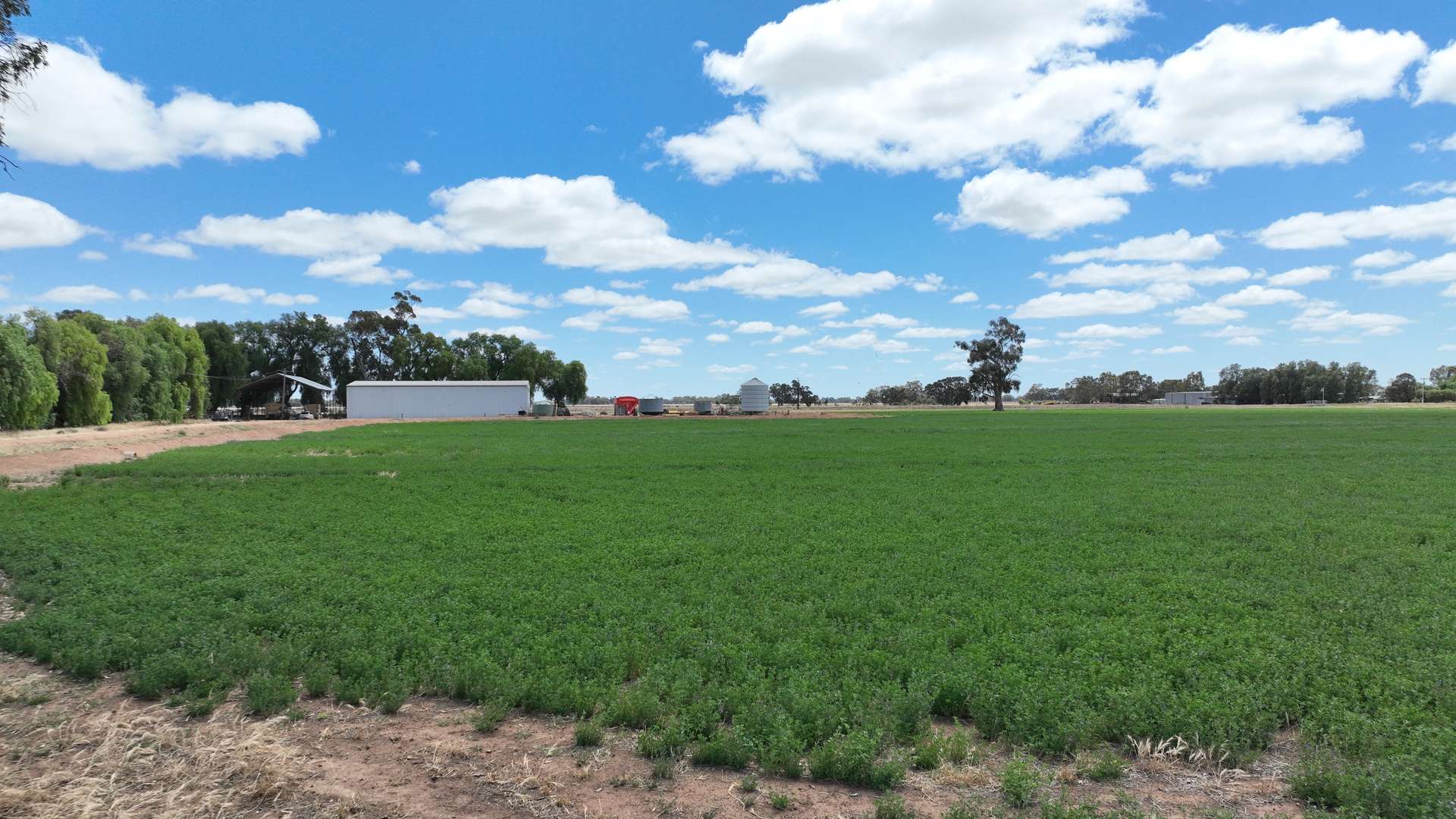 "Ramleh"/19714 Riverina Highway, Deniliquin Sold by Farmbuy.com - image 5