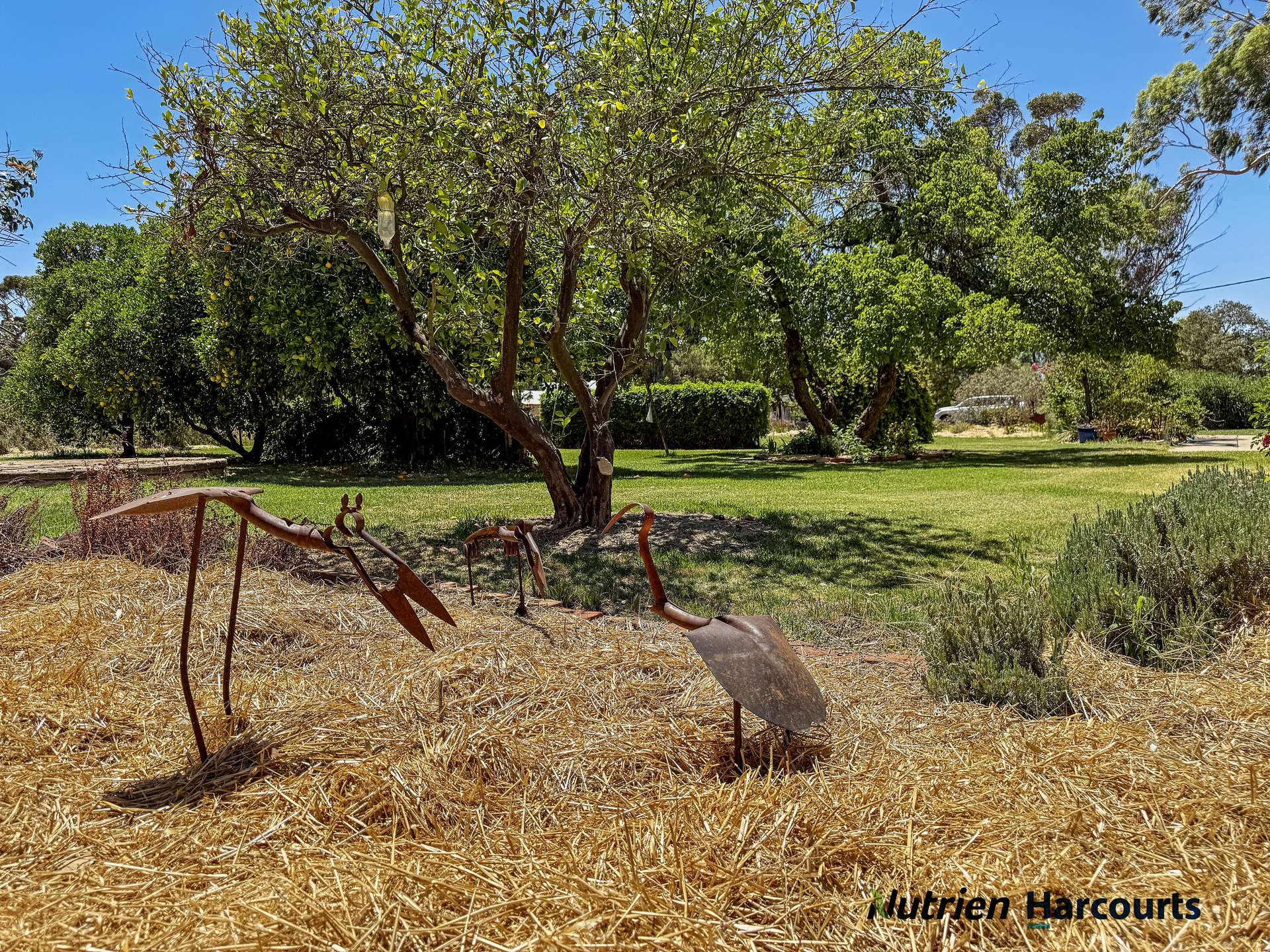 "Ramleh"/19714 Riverina Highway, Deniliquin Sold by Farmbuy.com - image 28