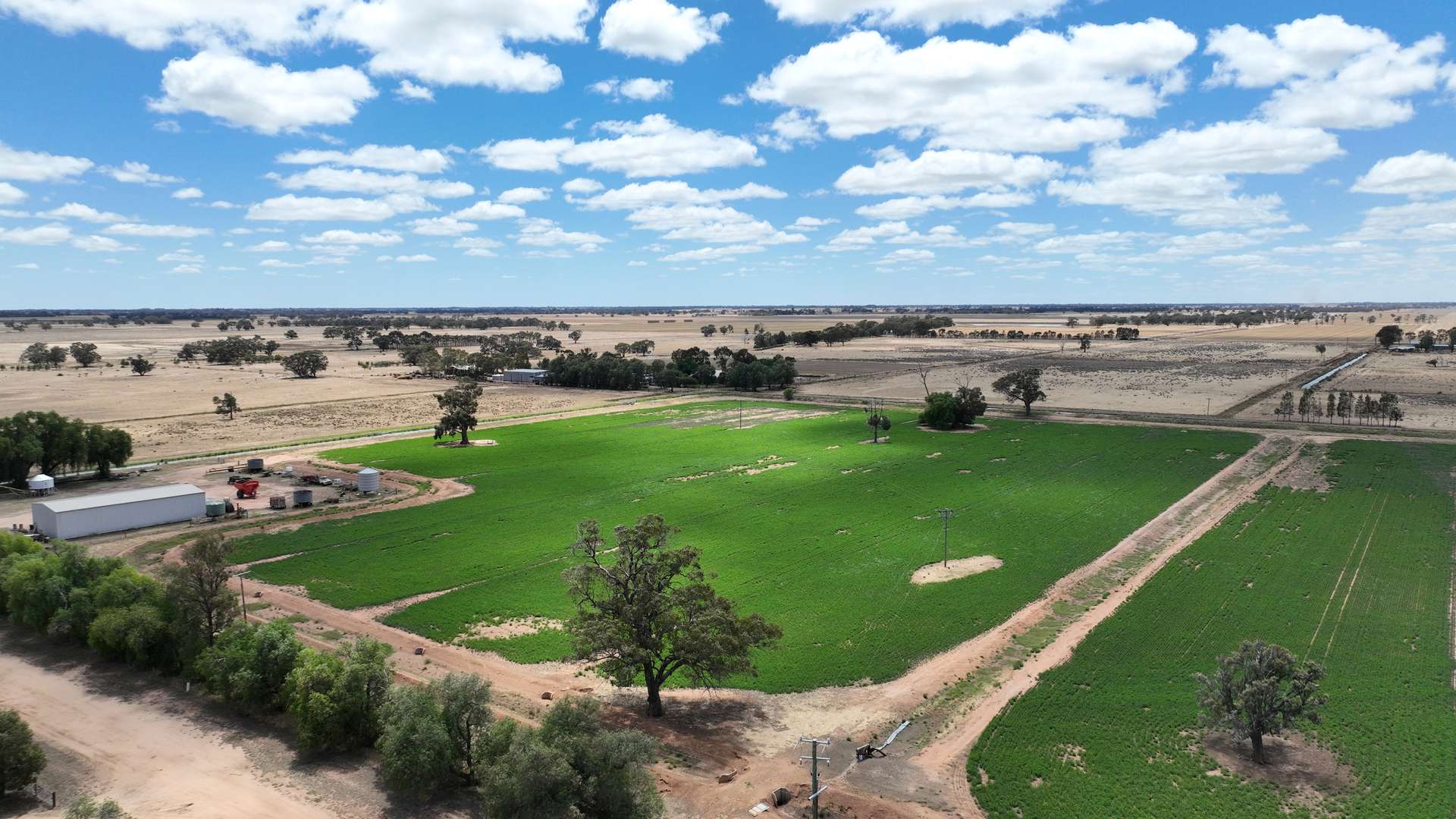 "Ramleh"/19714 Riverina Highway, Deniliquin Sold by Farmbuy.com - image 4