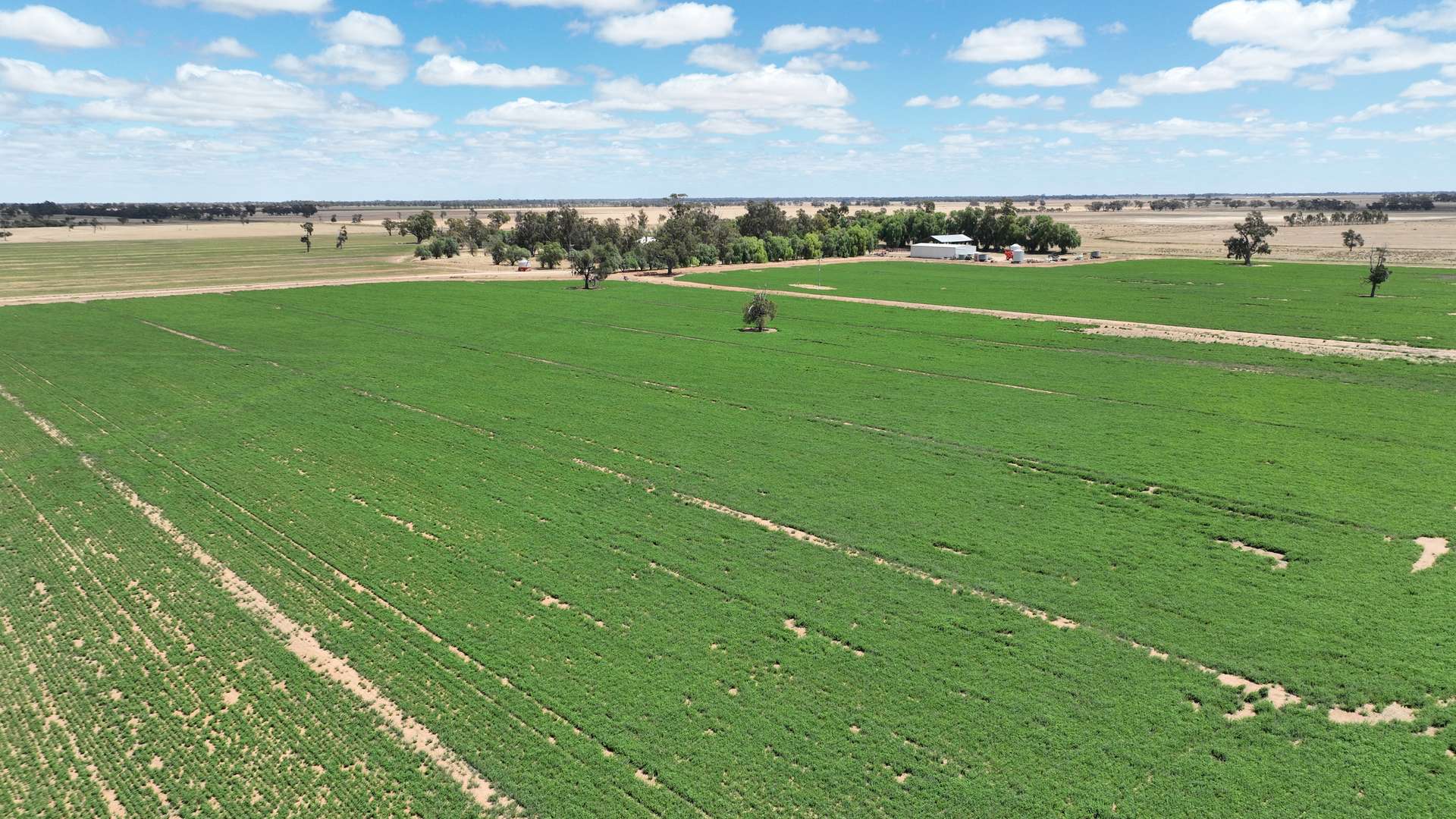 "Ramleh"/19714 Riverina Highway, Deniliquin Sold by Farmbuy.com - image 9