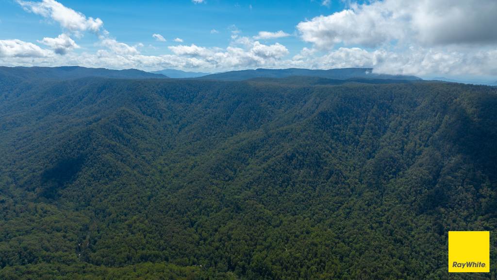 Dorrigo NSW 2453