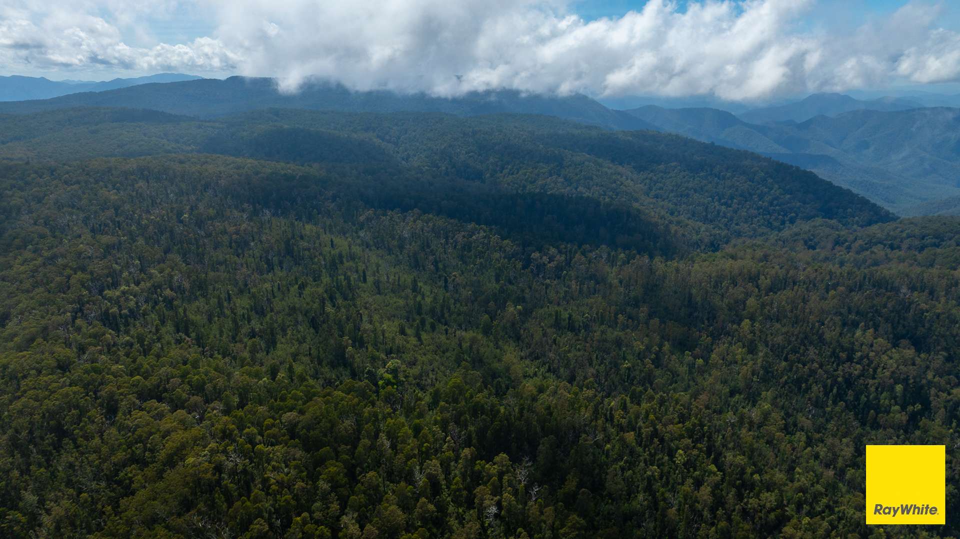 Dorrigo Sold by Farmbuy.com - image 11
